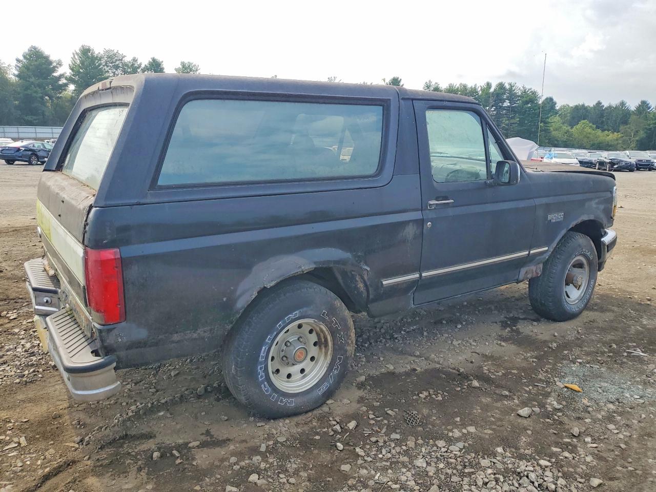 1994 Ford Bronco U100 Black vin: 1FMEU15H4RLA12304