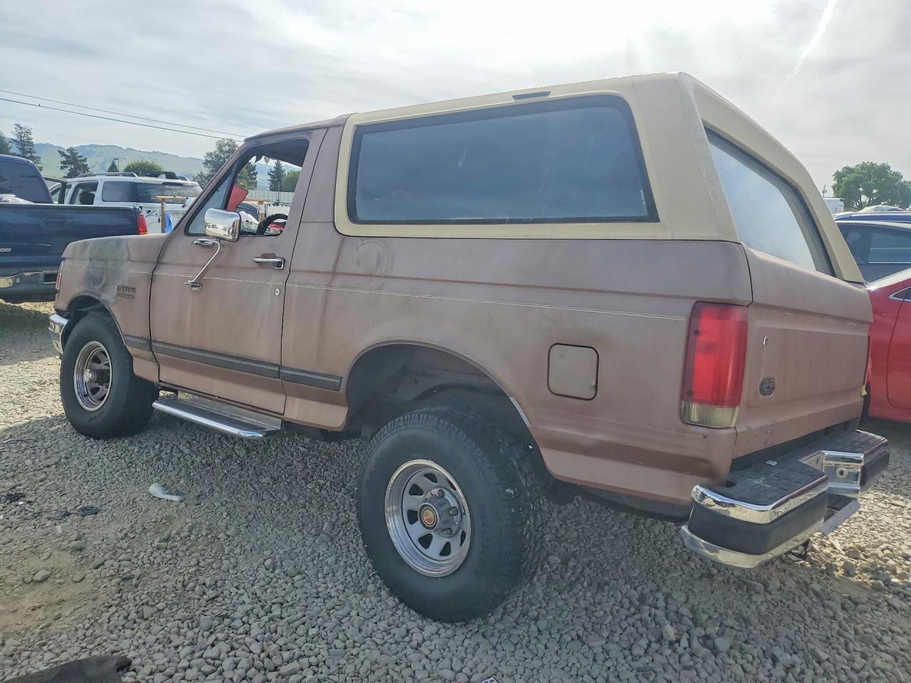 1989 Ford Bronco Brown vin: 1FMEU15Y5KLB19044