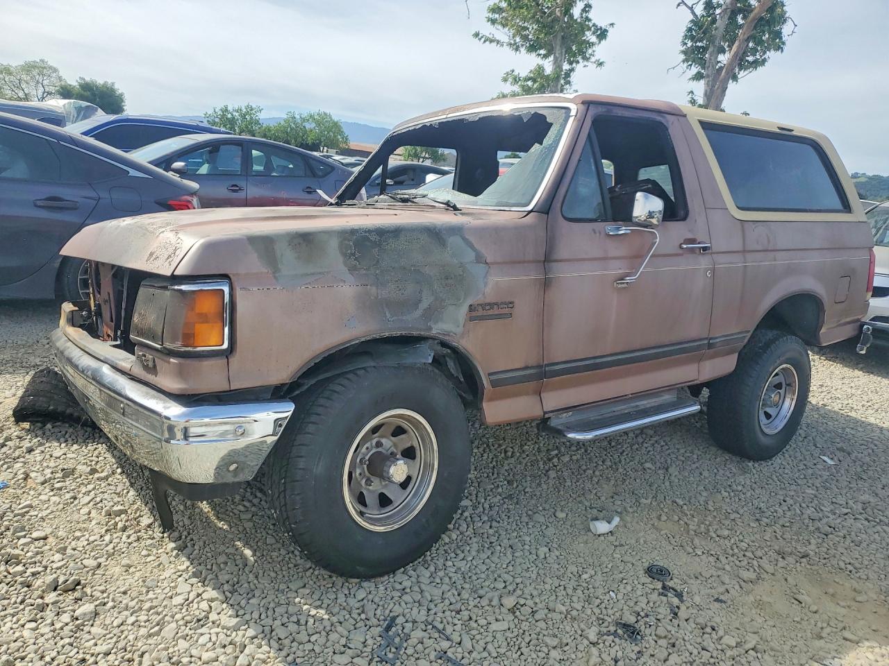 1989 Ford Bronco Brown vin: 1FMEU15Y5KLB19044