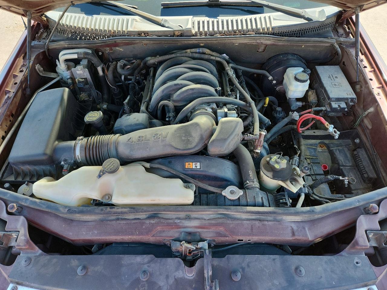 2006 Ford Explorer Eddie Bauer Бордовый vin: 1FMEU64806UA01708