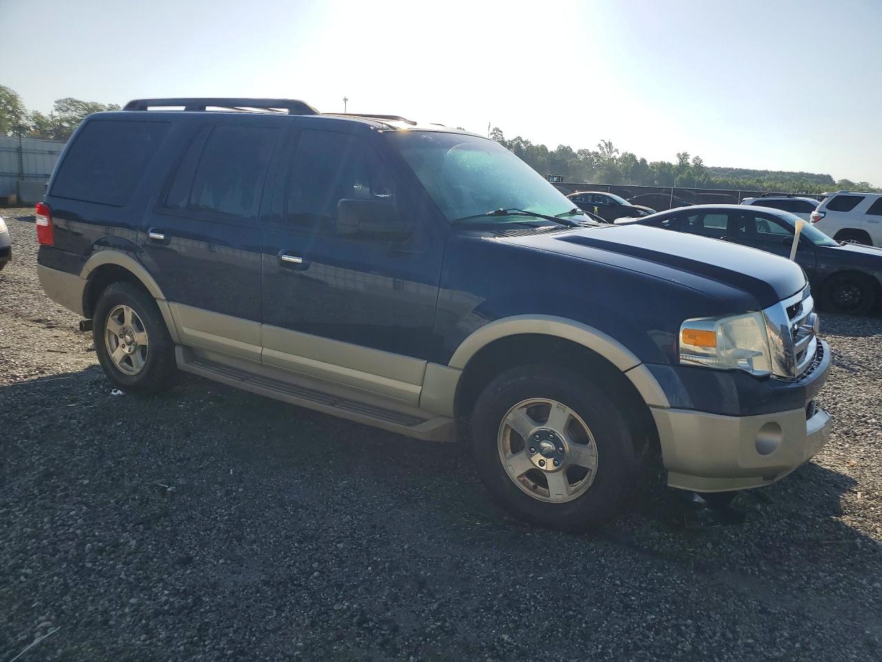 2009 Ford Expedition Eddie Bauer Синий vin: 1FMFU17599EB09946