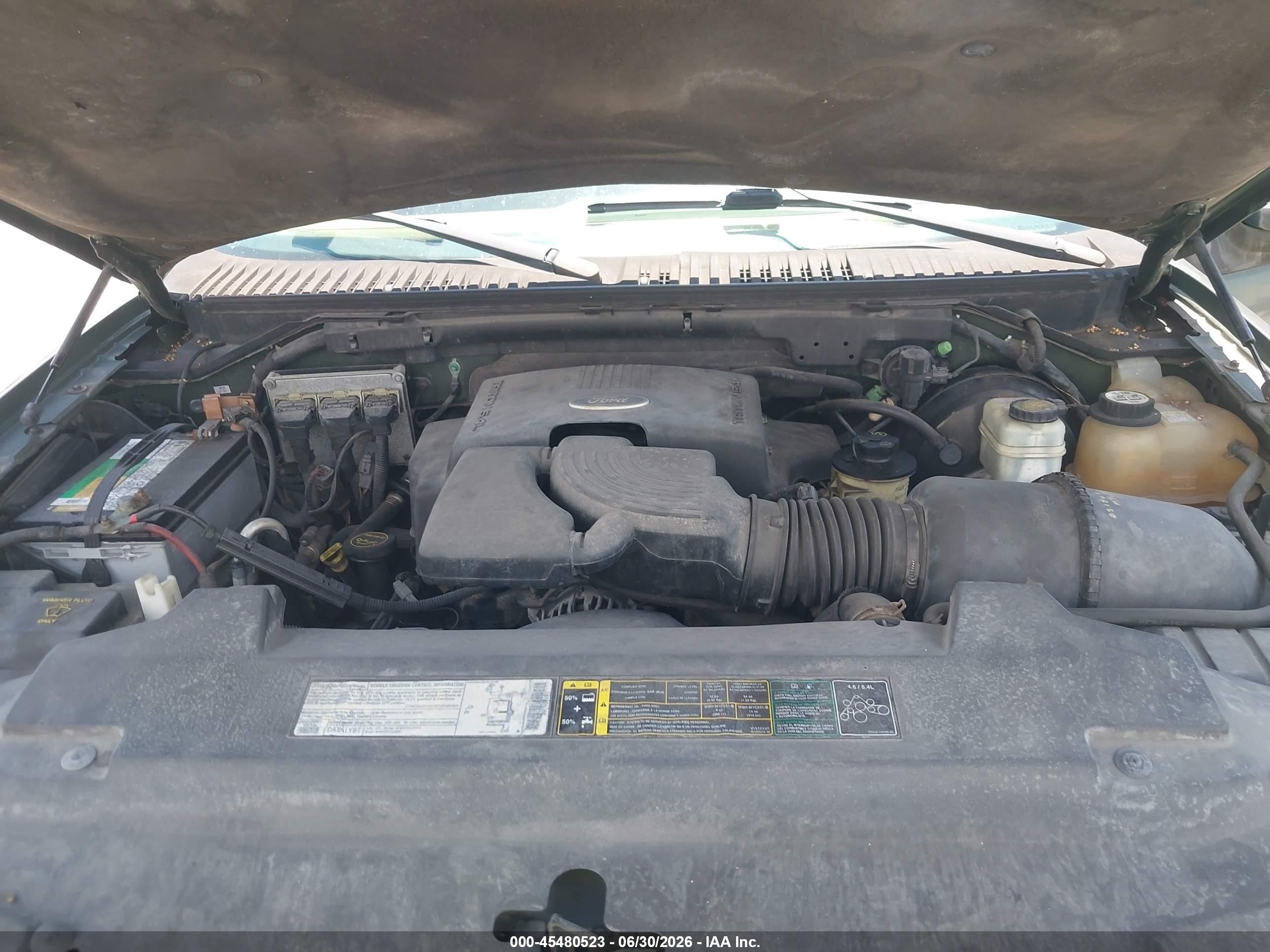 2003 Ford Expedition Eddie Bauer Green vin: 1FMFU17L63LB53341