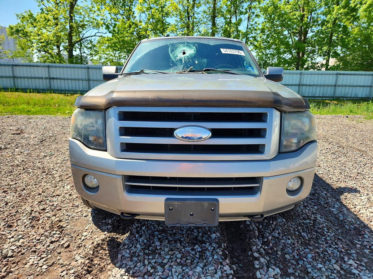 2008 Ford Expedition Limited Brown vin: 1FMFU20578LA86483