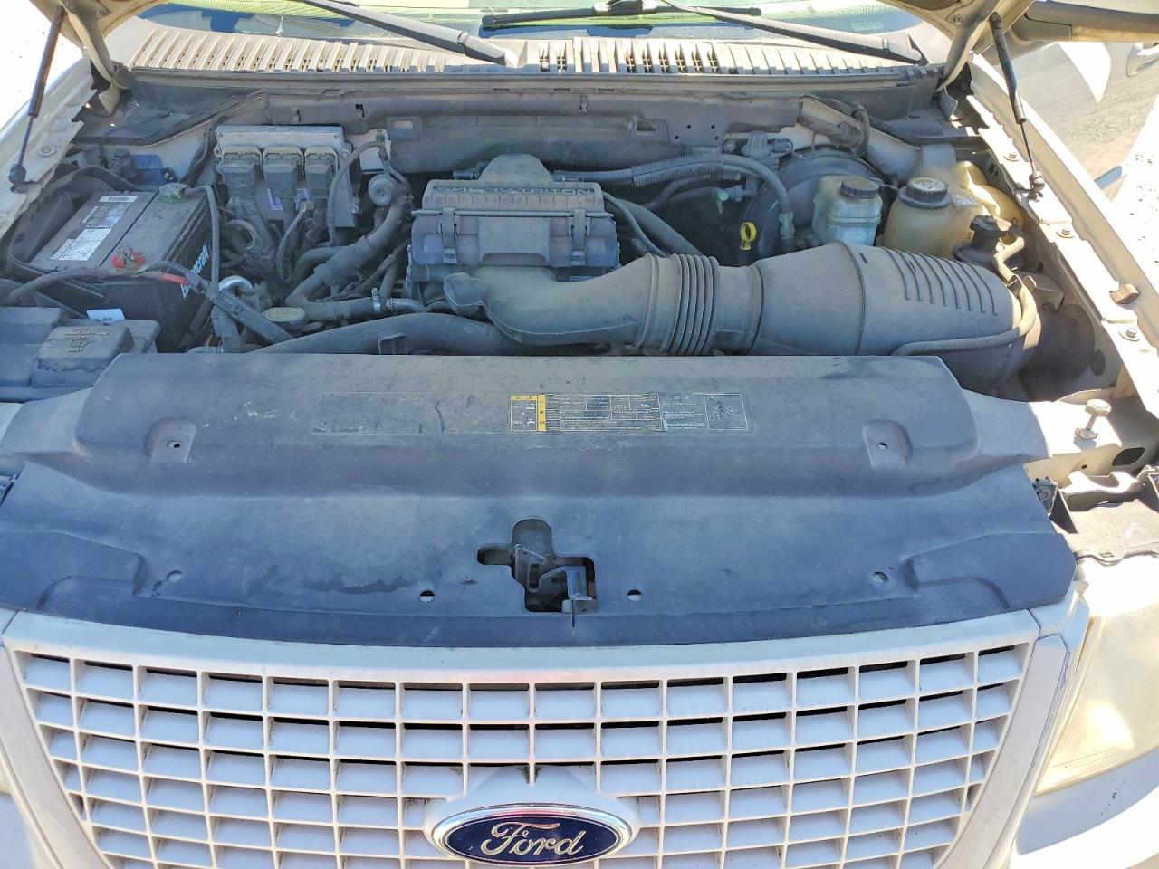 2005 Ford Expedition Limited Beige vin: 1FMFU20595LB03358