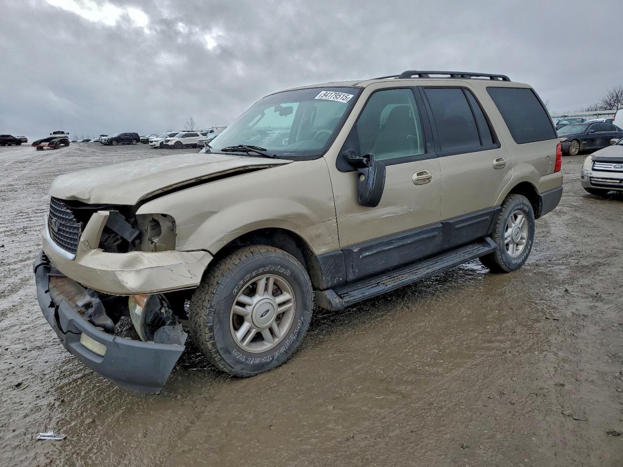 2005 Ford Expedition Xlt Gold vin: 1FMPU16595LA38050