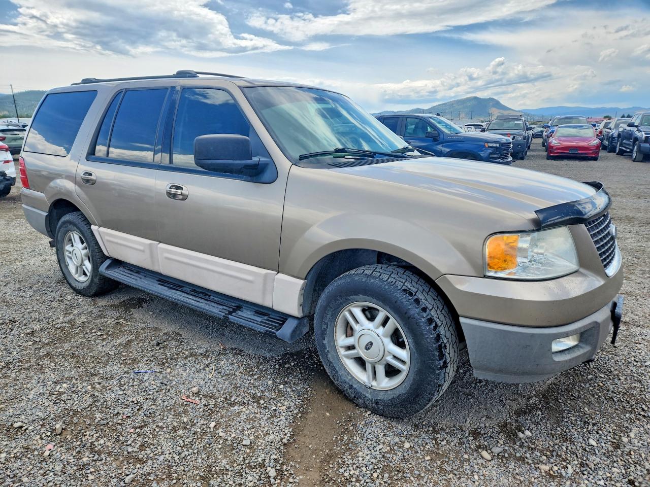 2003 Ford Expedition Xlt Brown vin: 1FMPU16L23LC38554