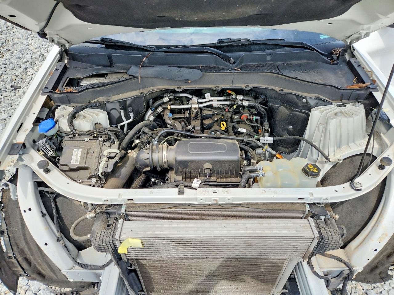 2022 Ford Explorer Xlt Белый vin: 1FMSK7DH8NGA31793