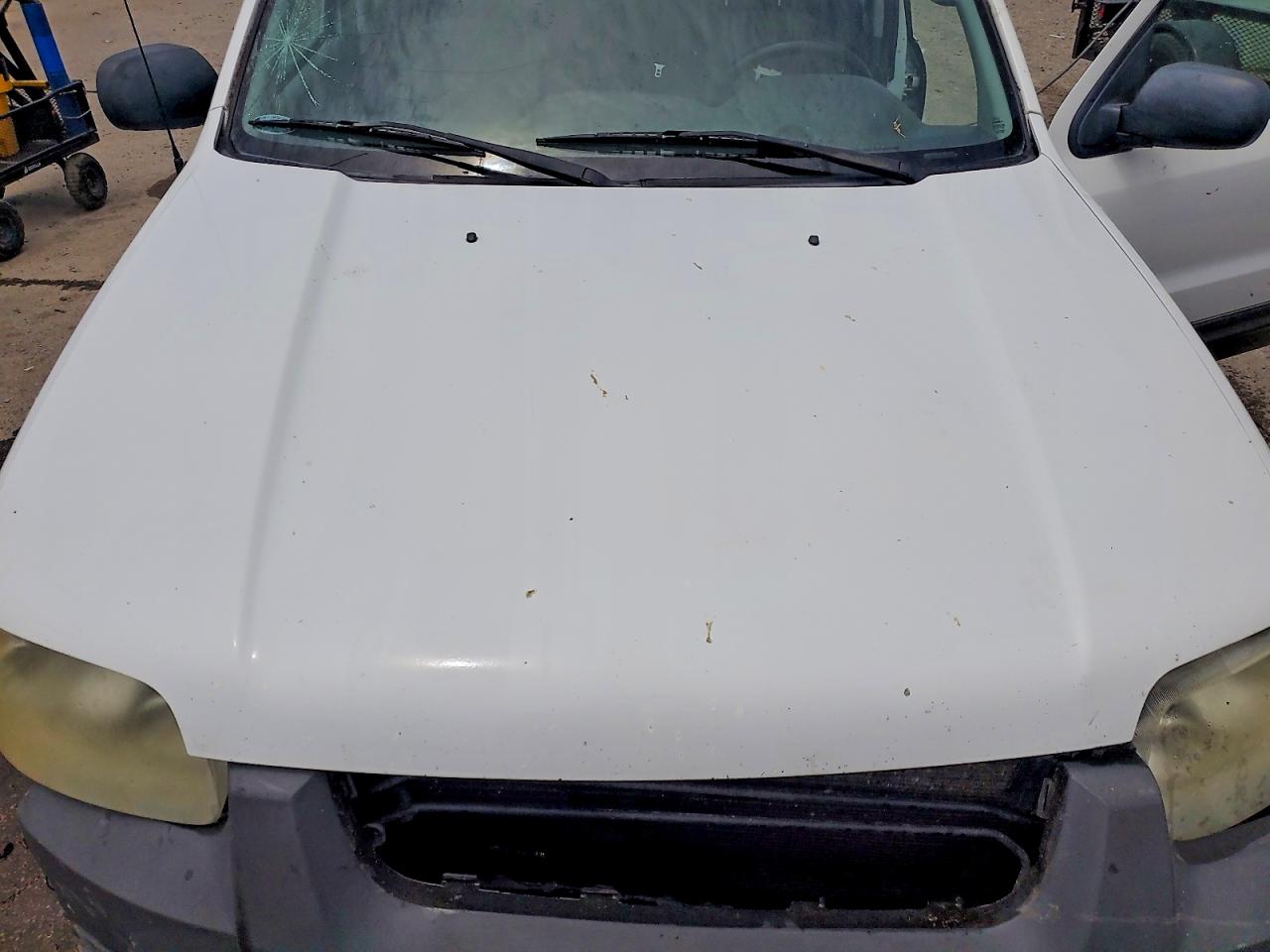 2007 Ford Escape Xls White vin: 1FMYU02Z77KB80851