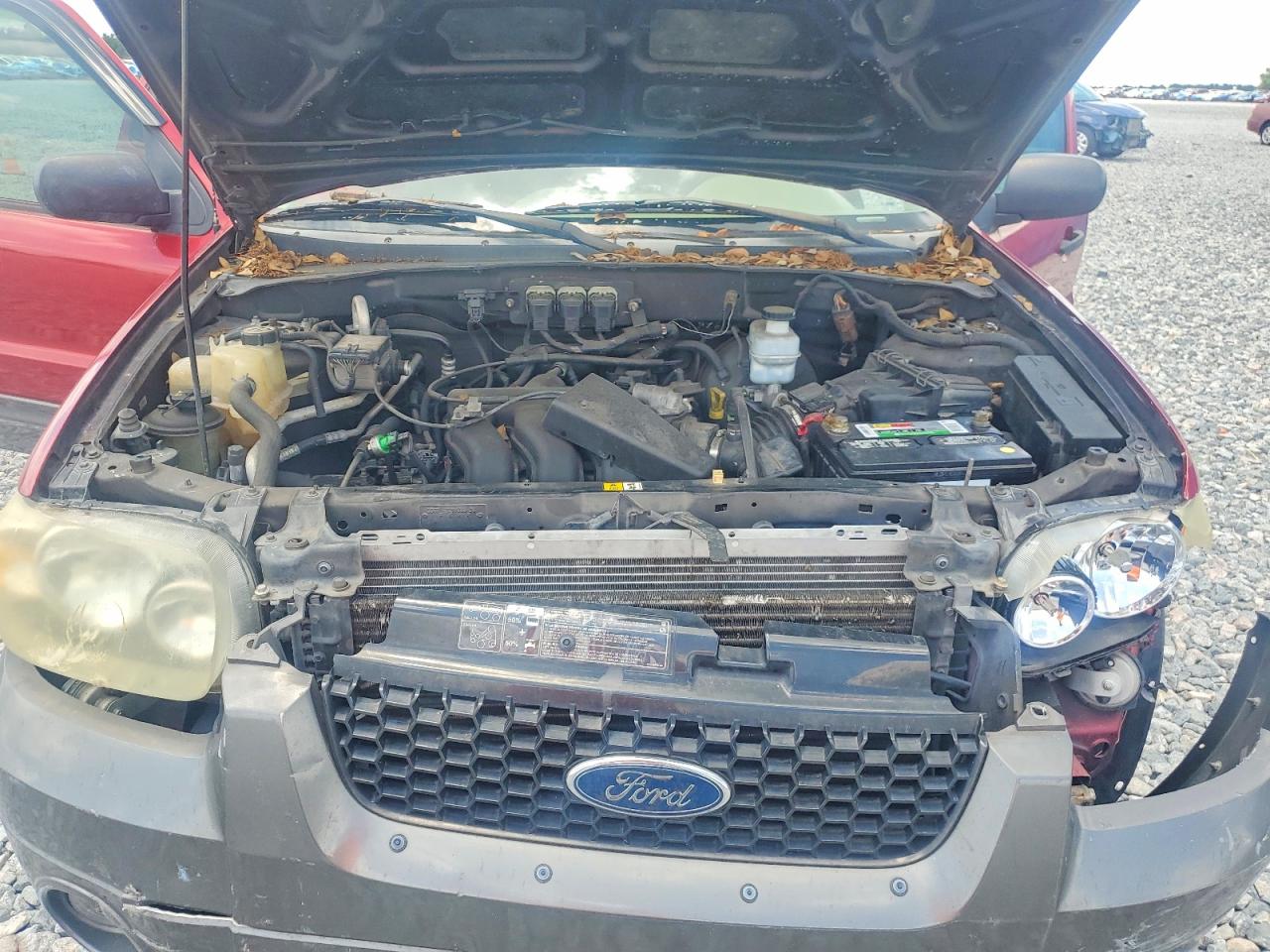 2006 Ford Escape Xlt Burgundy vin: 1FMYU03126KA31111