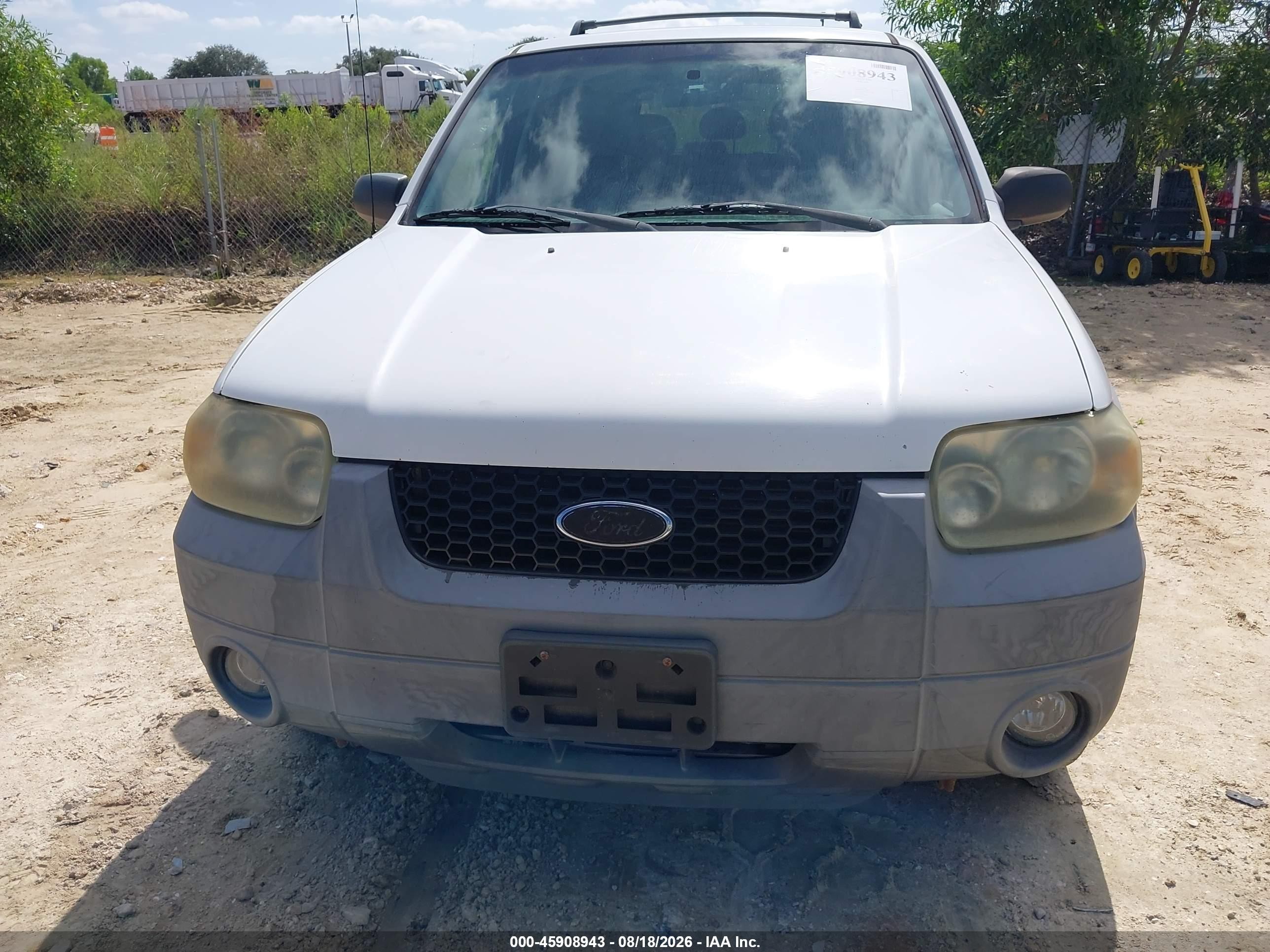2005 Ford Escape Xlt White vin: 1FMYU03165KA36780