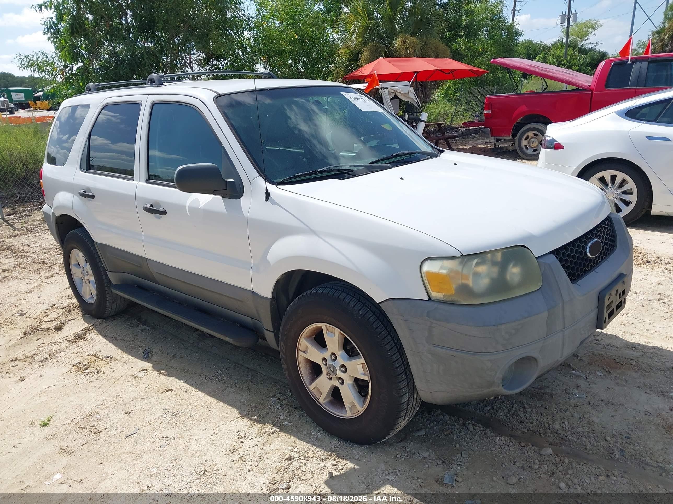 2005 Ford Escape Xlt White vin: 1FMYU03165KA36780