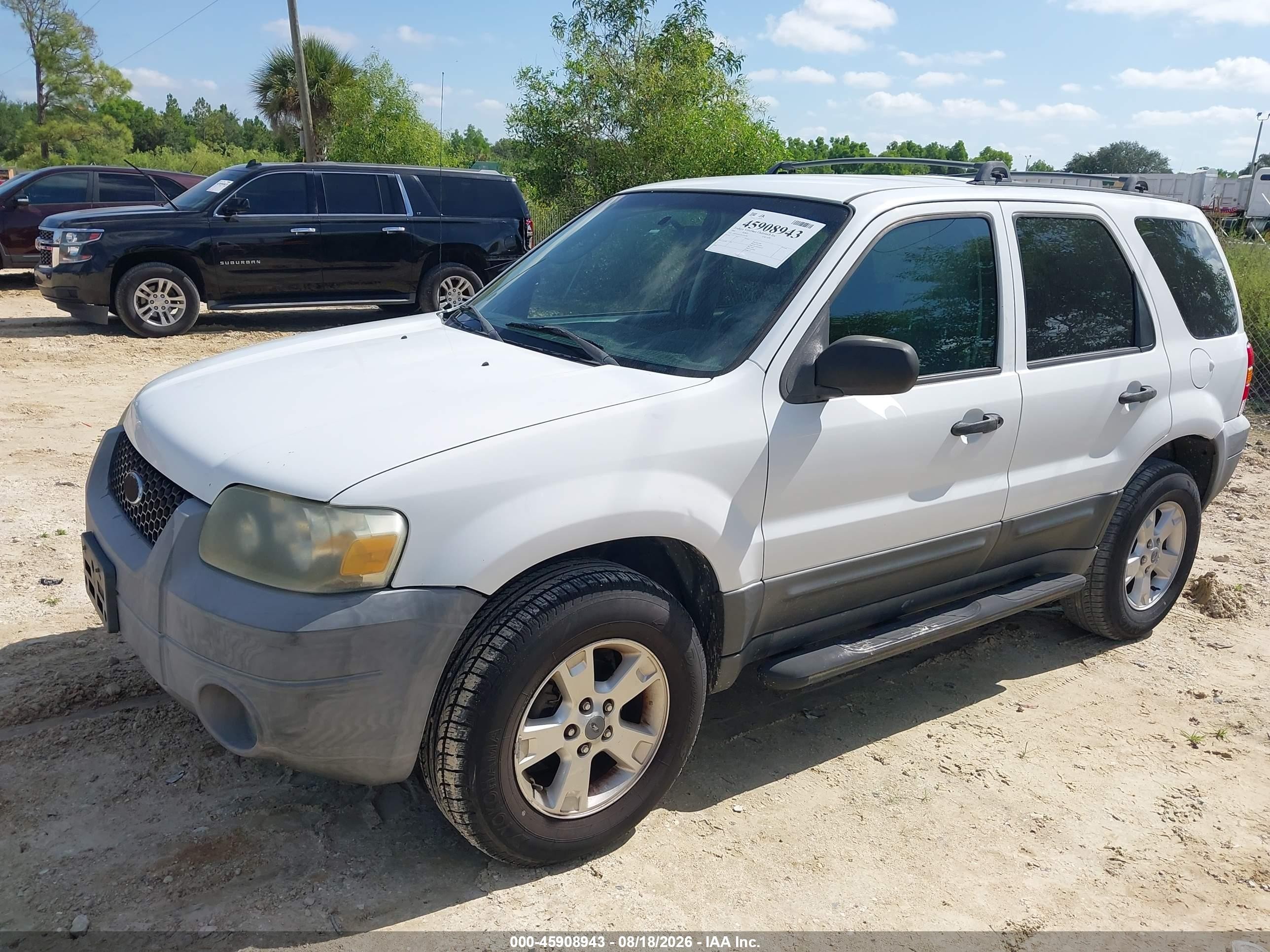 2005 Ford Escape Xlt White vin: 1FMYU03165KA36780