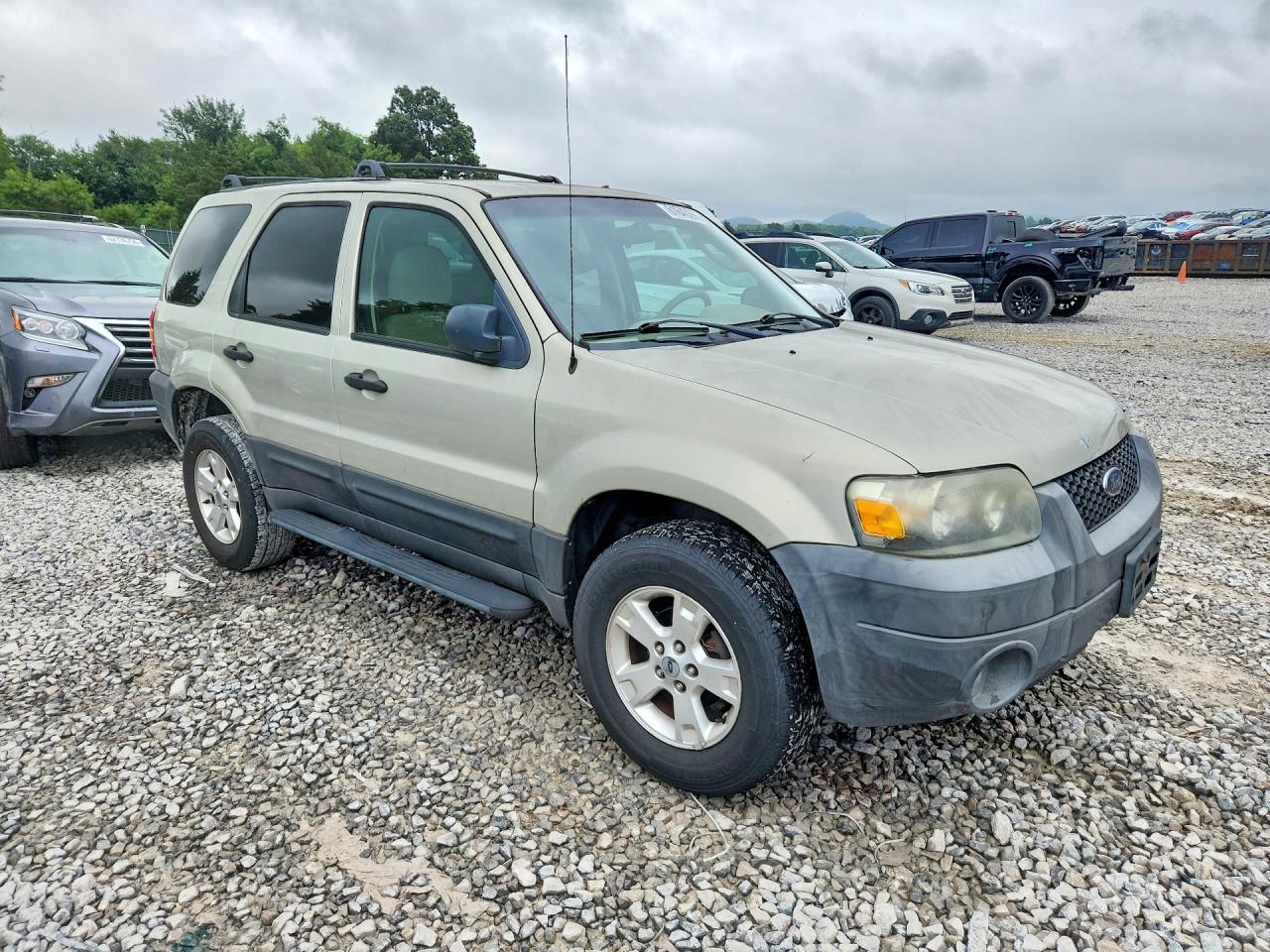 2005 Ford Escape Xlt Tan vin: 1FMYU03175KB46138