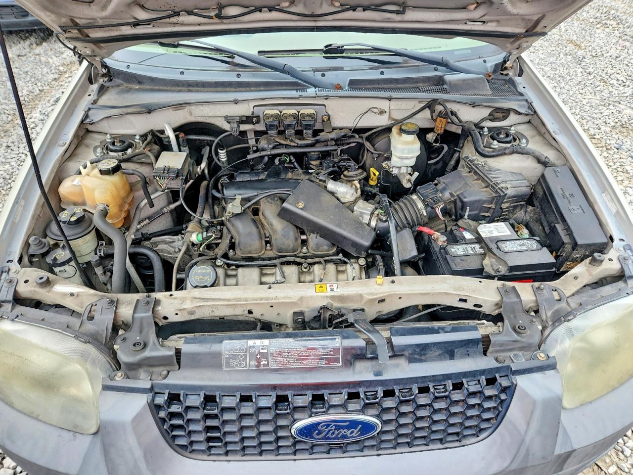 2005 Ford Escape Xlt Tan vin: 1FMYU03175KB46138
