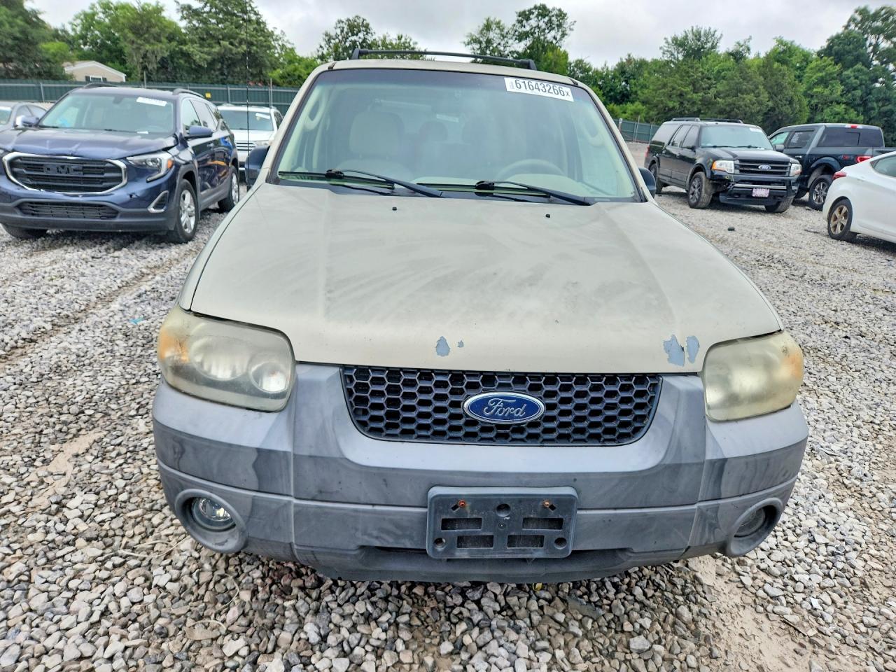 2005 Ford Escape Xlt Tan vin: 1FMYU03175KB46138