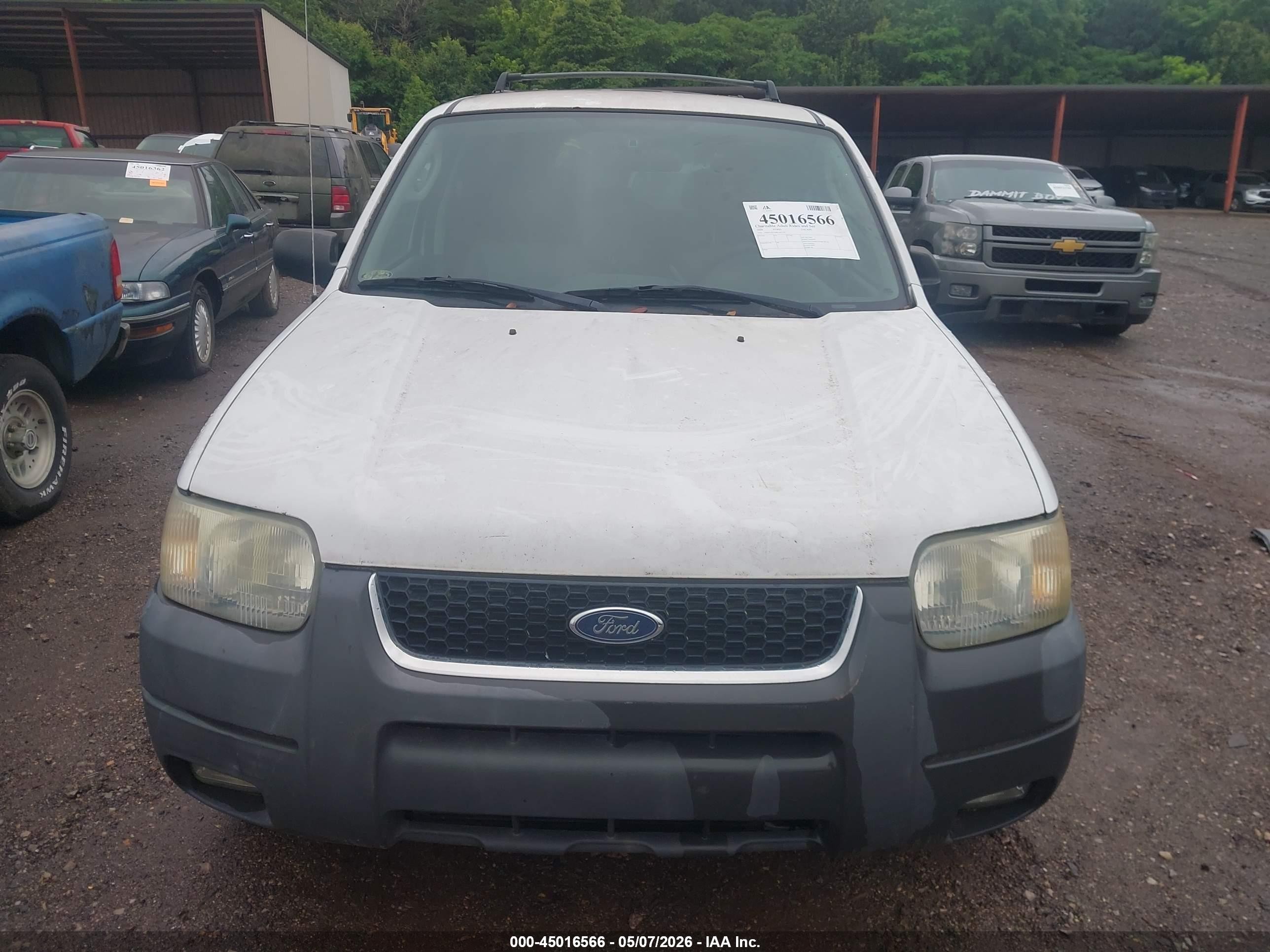 2004 Ford Escape Xlt White vin: 1FMYU03194KA63759