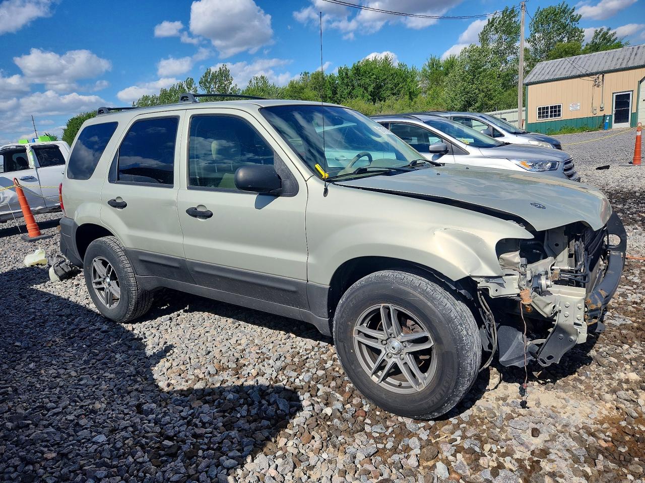 2006 Ford Escape Xlt Tan vin: 1FMYU03196KA11597