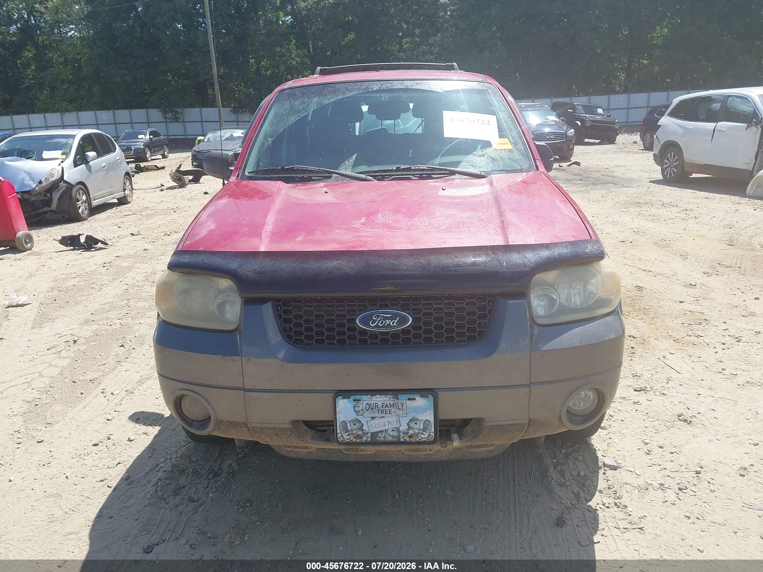 2006 Ford Escape Xlt/xlt Sport Красный vin: 1FMYU03196KB89249