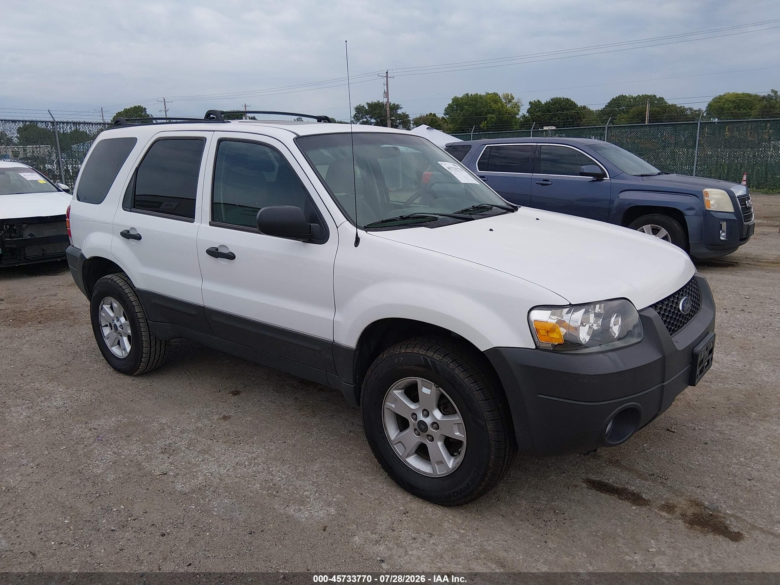 2007 Ford Escape Xlt White vin: 1FMYU03Z47KB90381