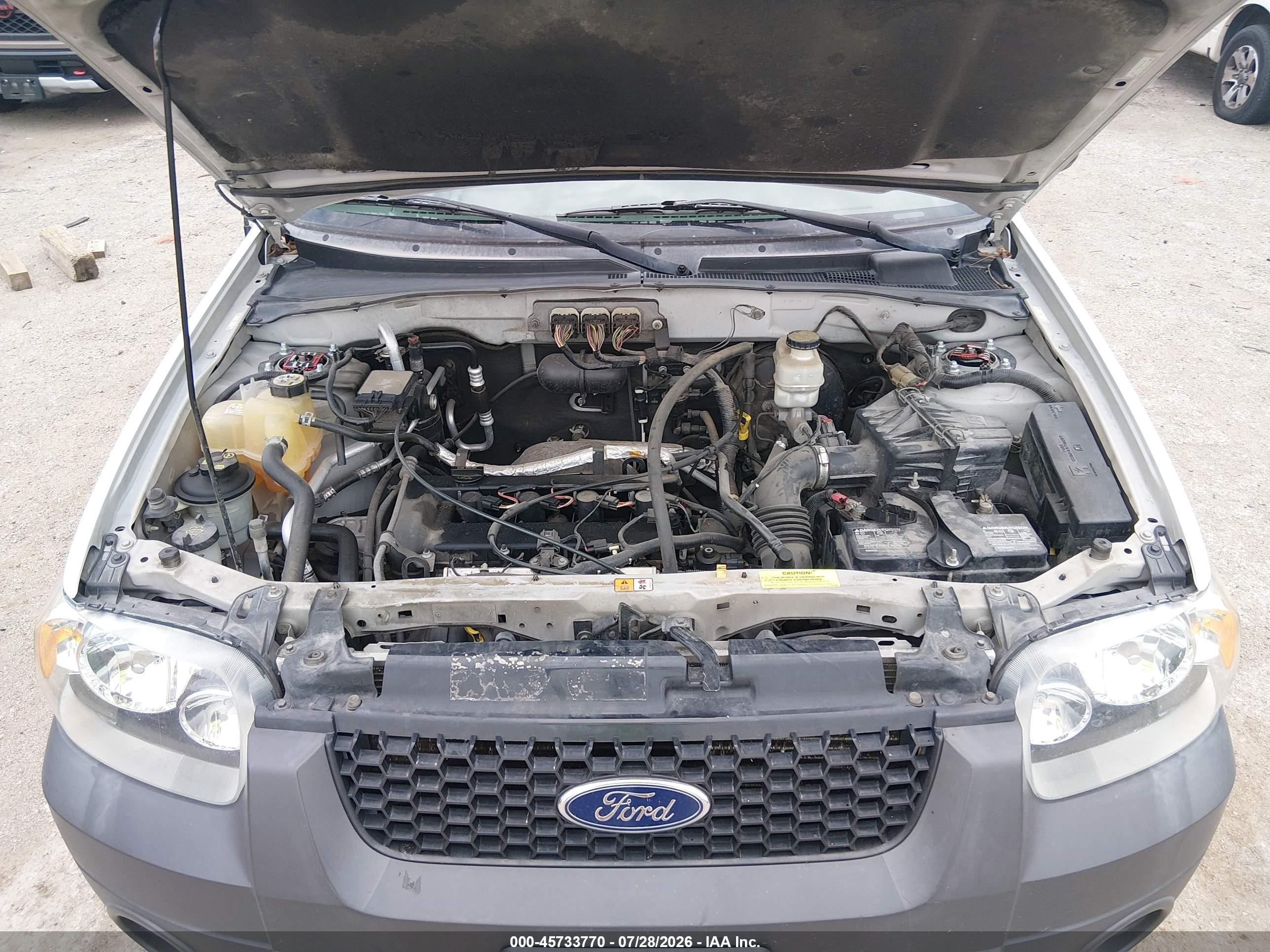 2007 Ford Escape Xlt Белый vin: 1FMYU03Z47KB90381