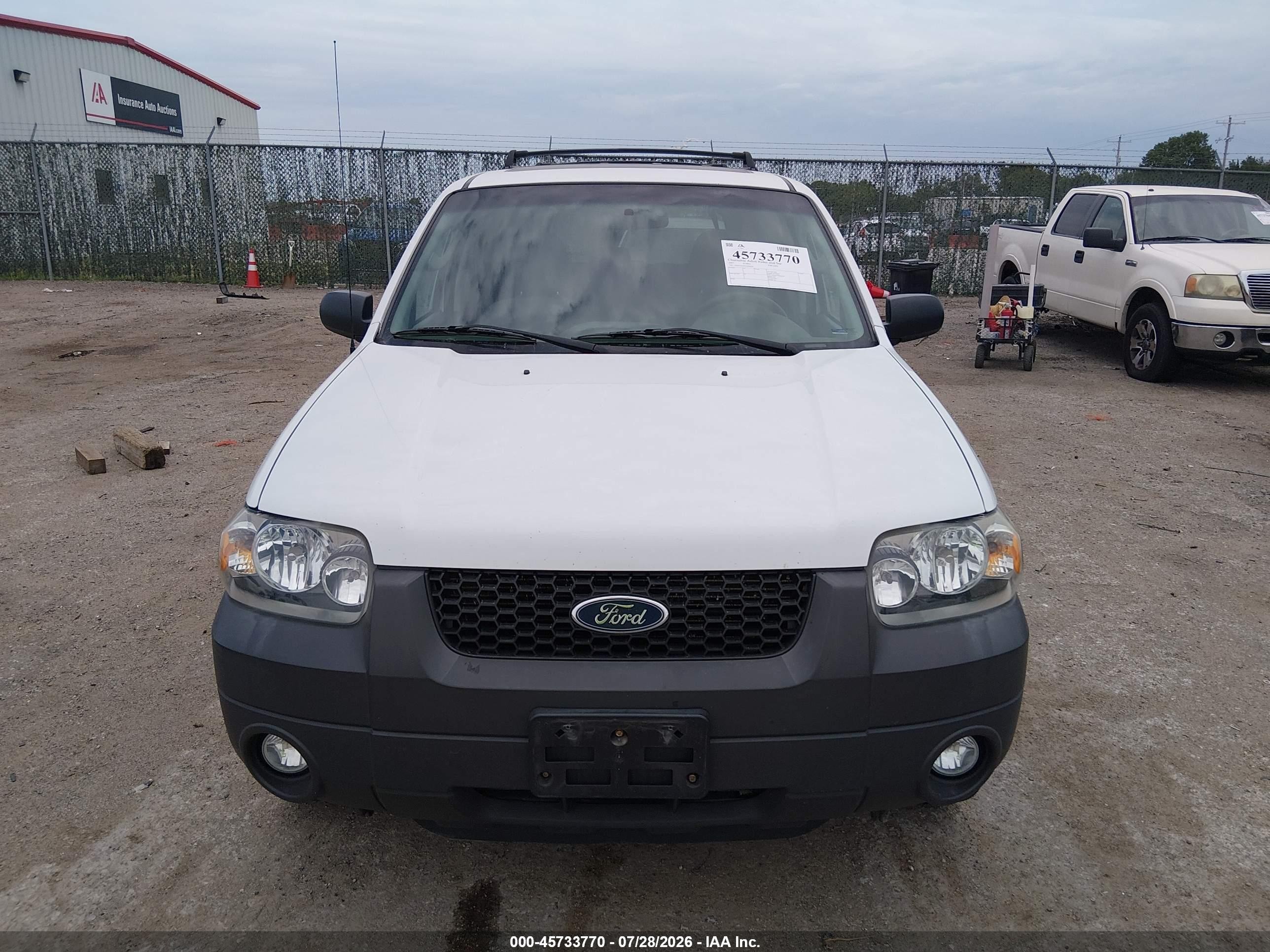 2007 Ford Escape Xlt Белый vin: 1FMYU03Z47KB90381
