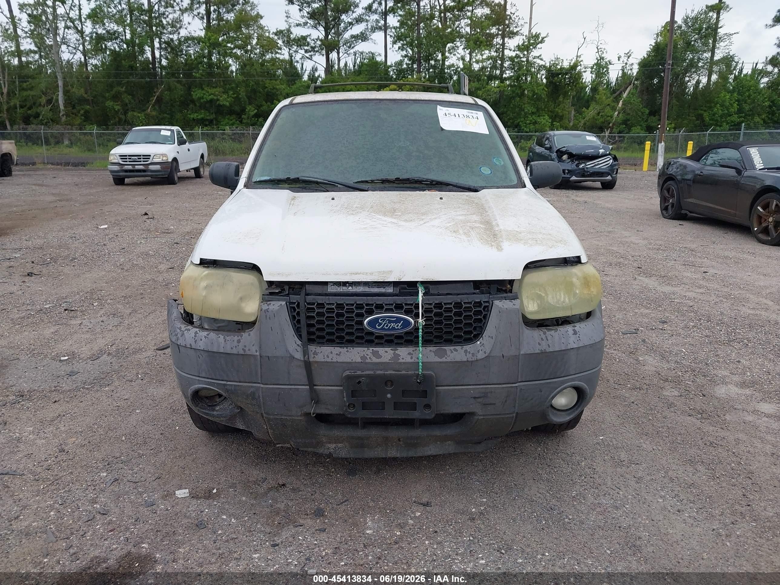 2007 Ford Escape Xlt White vin: 1FMYU03Z67KA60747