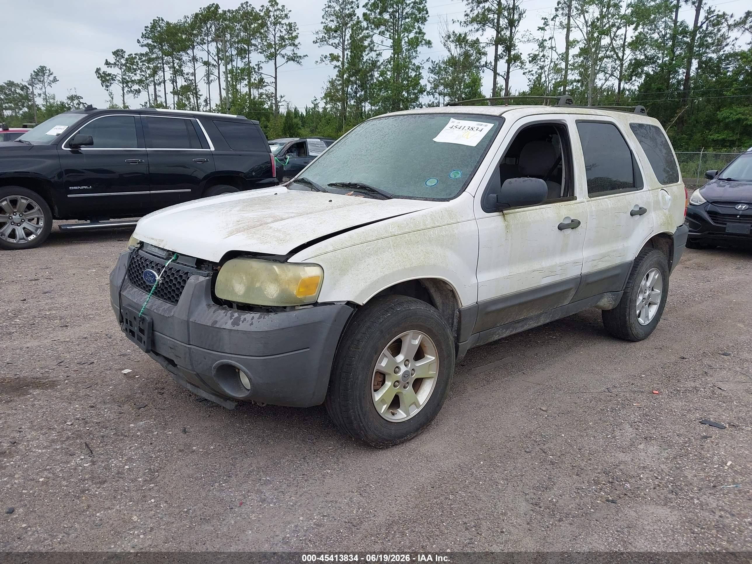 2007 Ford Escape Xlt White vin: 1FMYU03Z67KA60747