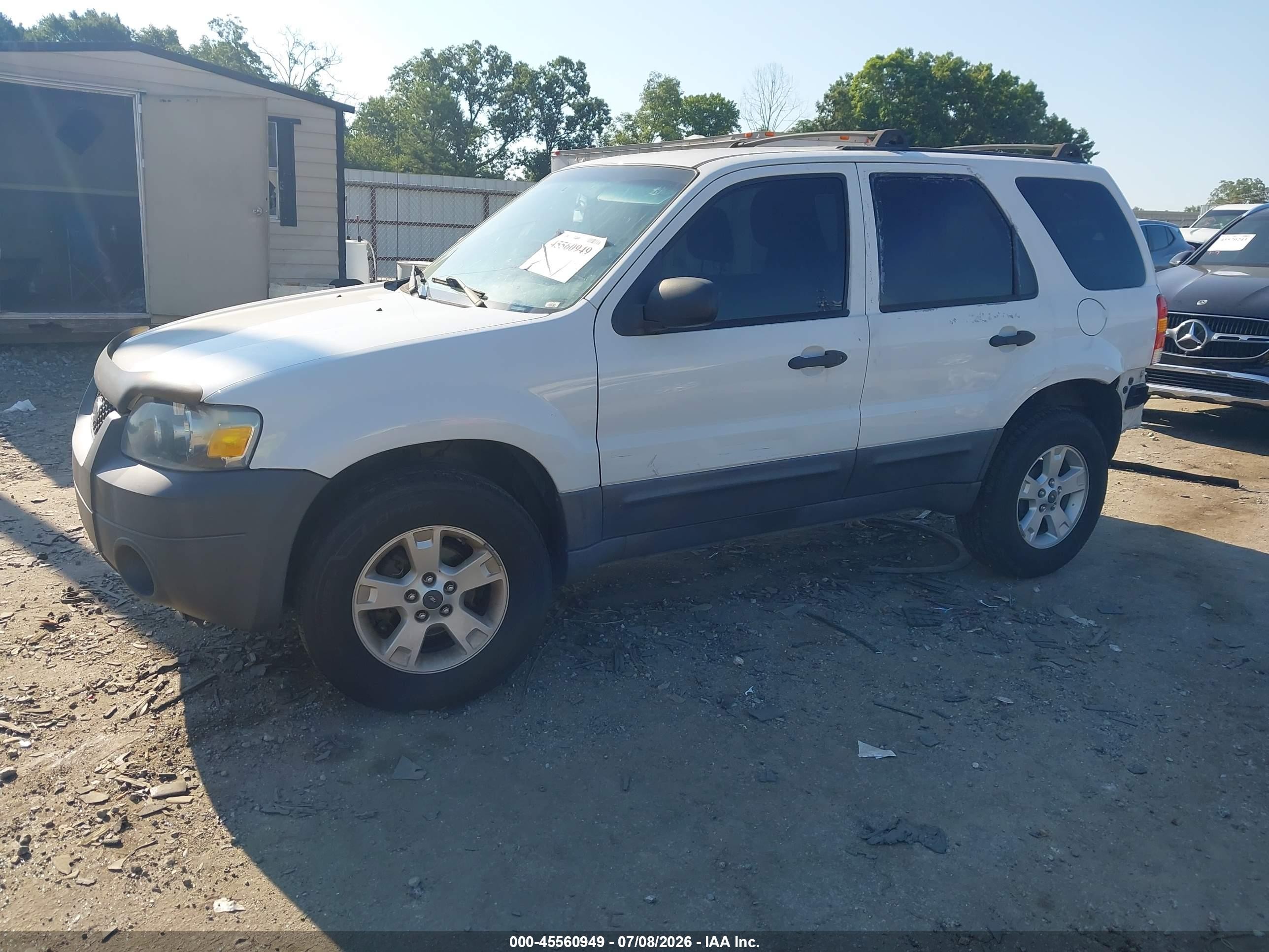 2007 Ford Escape Xlt White vin: 1FMYU03Z87KA91224