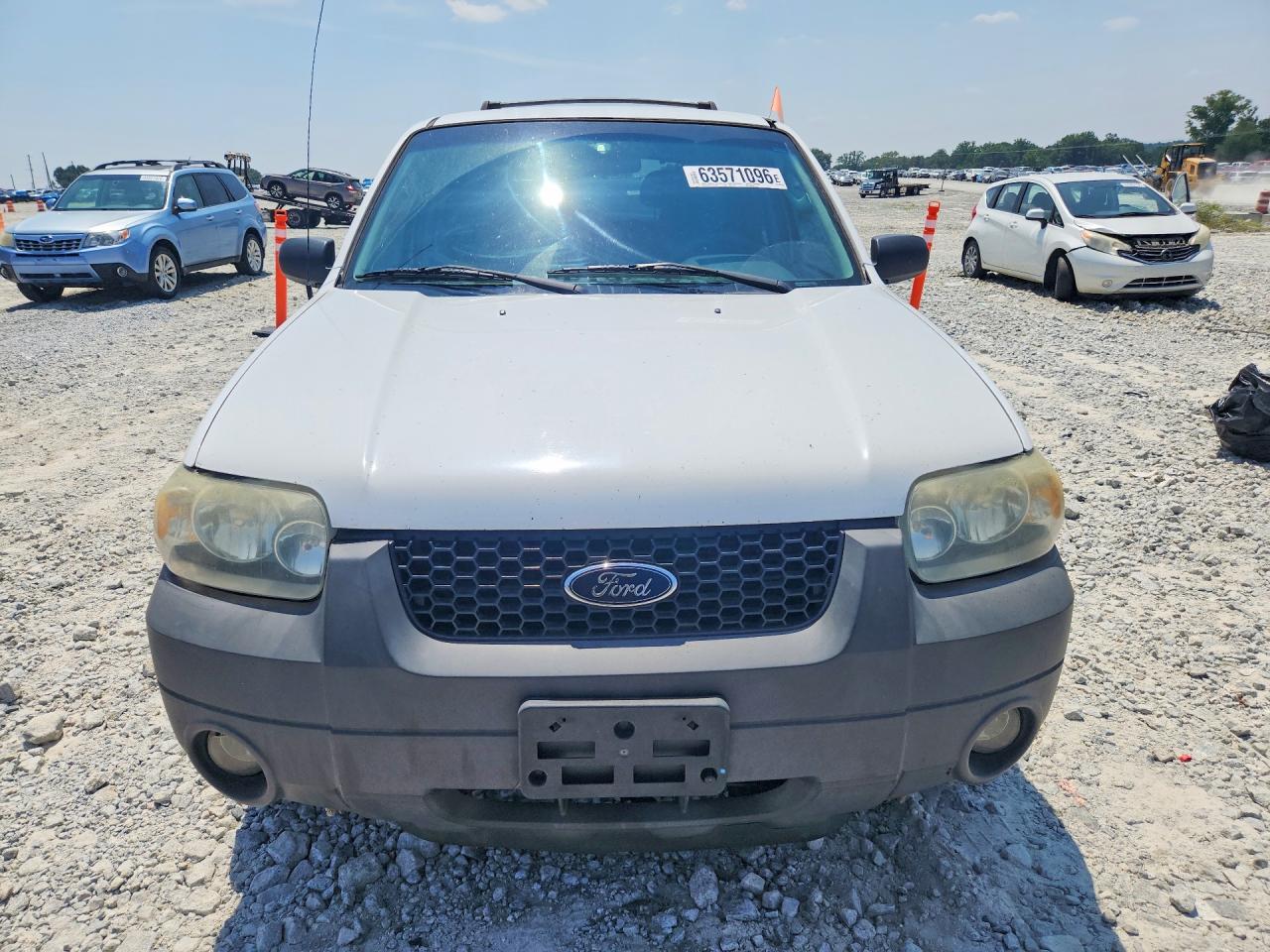 2005 Ford Escape Xlt Белый vin: 1FMYU03ZX5KB87143