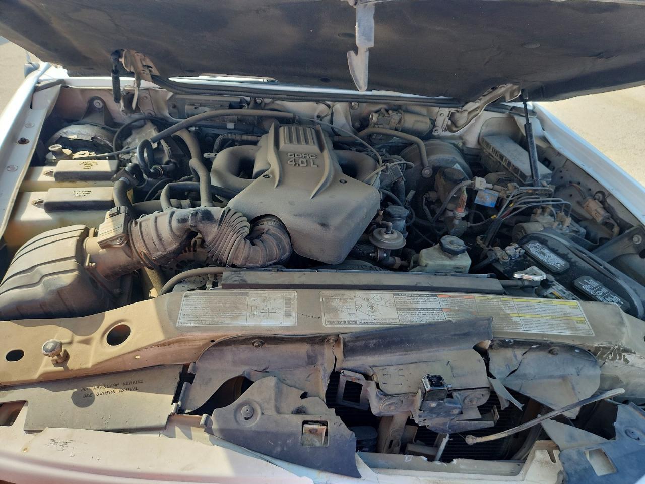 1999 Ford Explorer White vin: 1FMYU22E6XUB40919