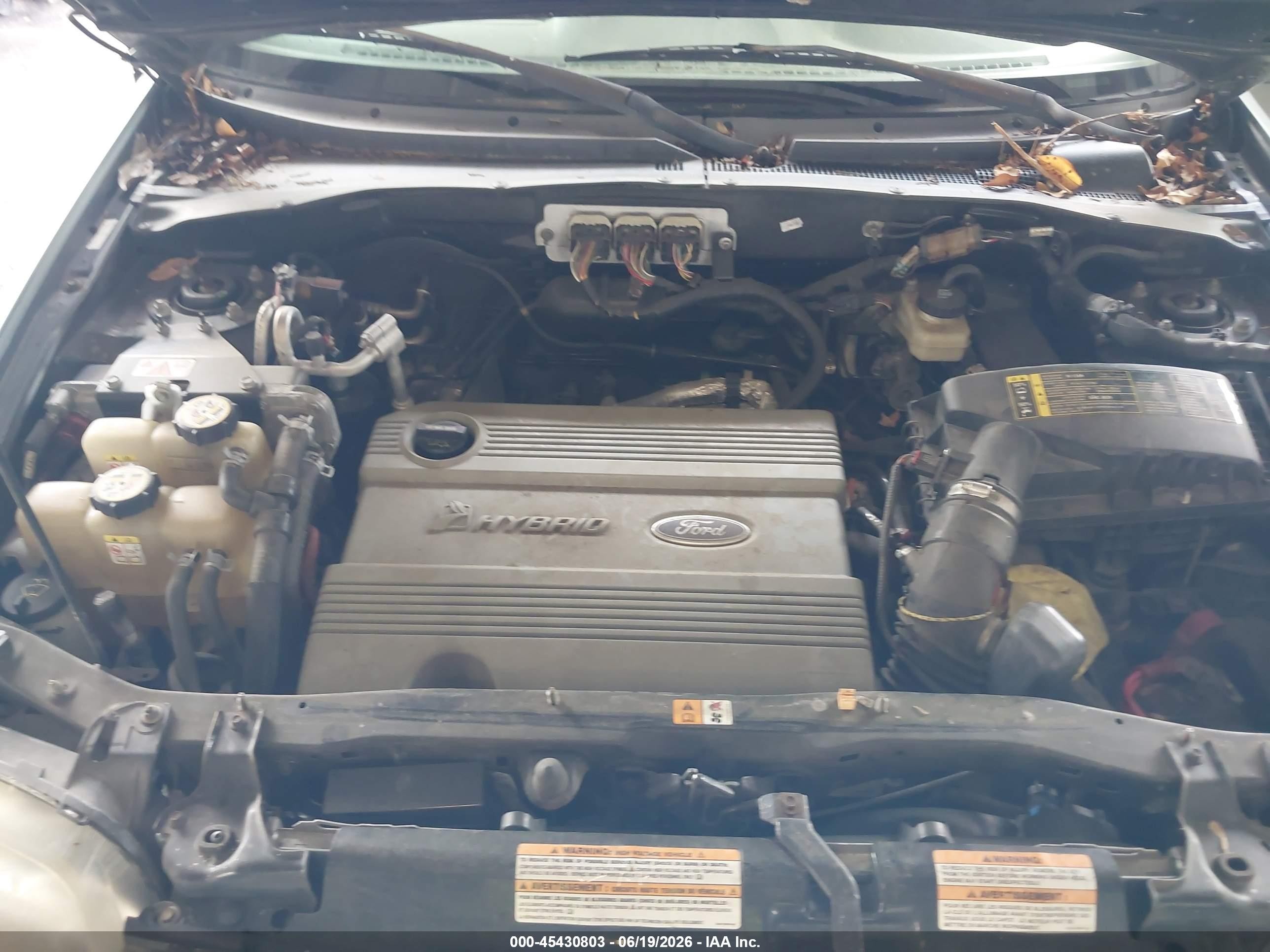 2007 Ford Escape Hybrid   Green vin: 1FMYU49H37KB26242