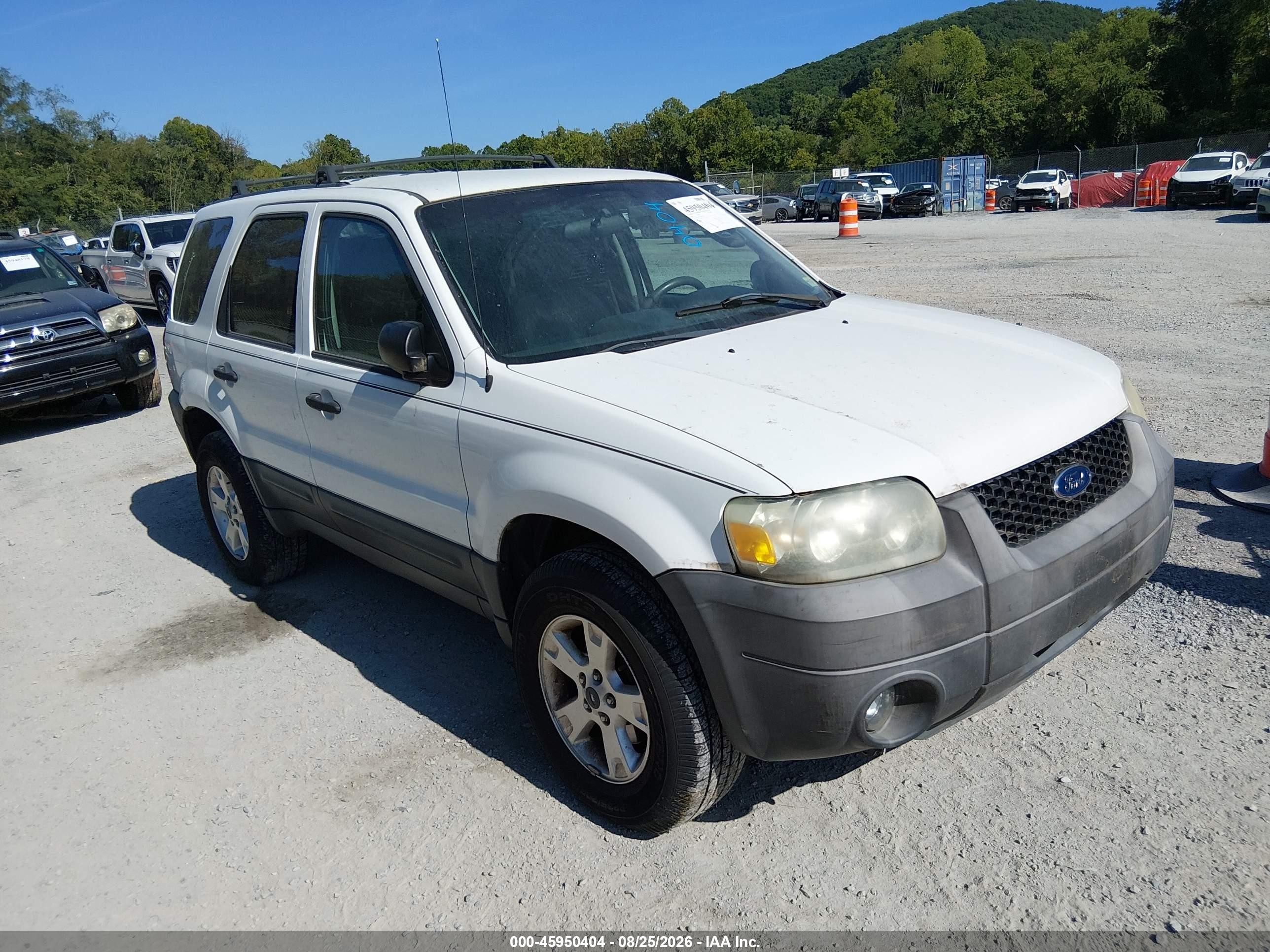 2005 Ford Escape Xlt Белый vin: 1FMYU93115KA78701