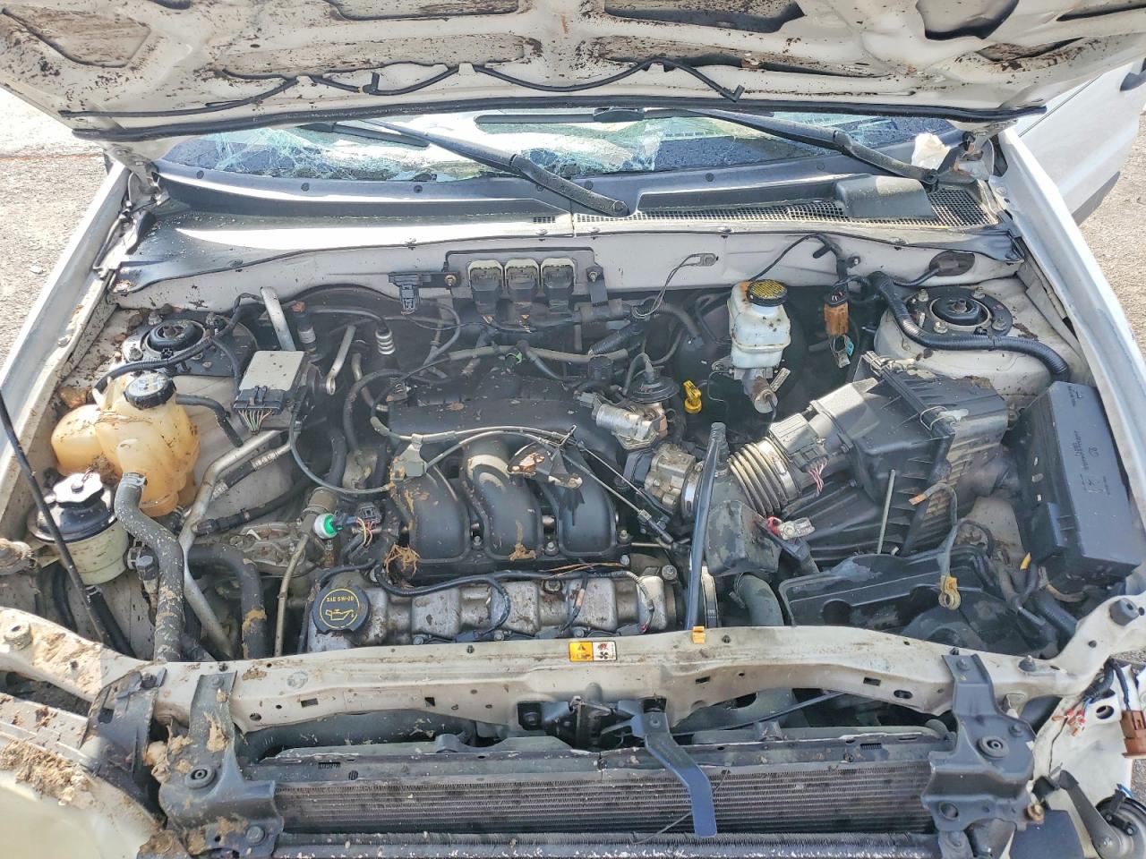 2006 Ford Escape Xlt White vin: 1FMYU93116KB09446