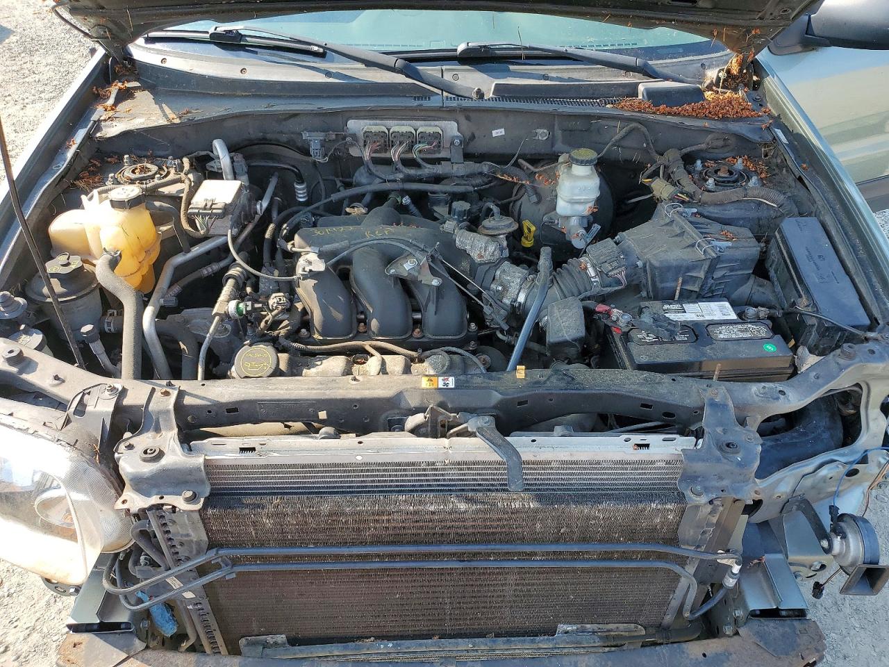 2007 Ford Escape Xlt Green vin: 1FMYU93127KA52112