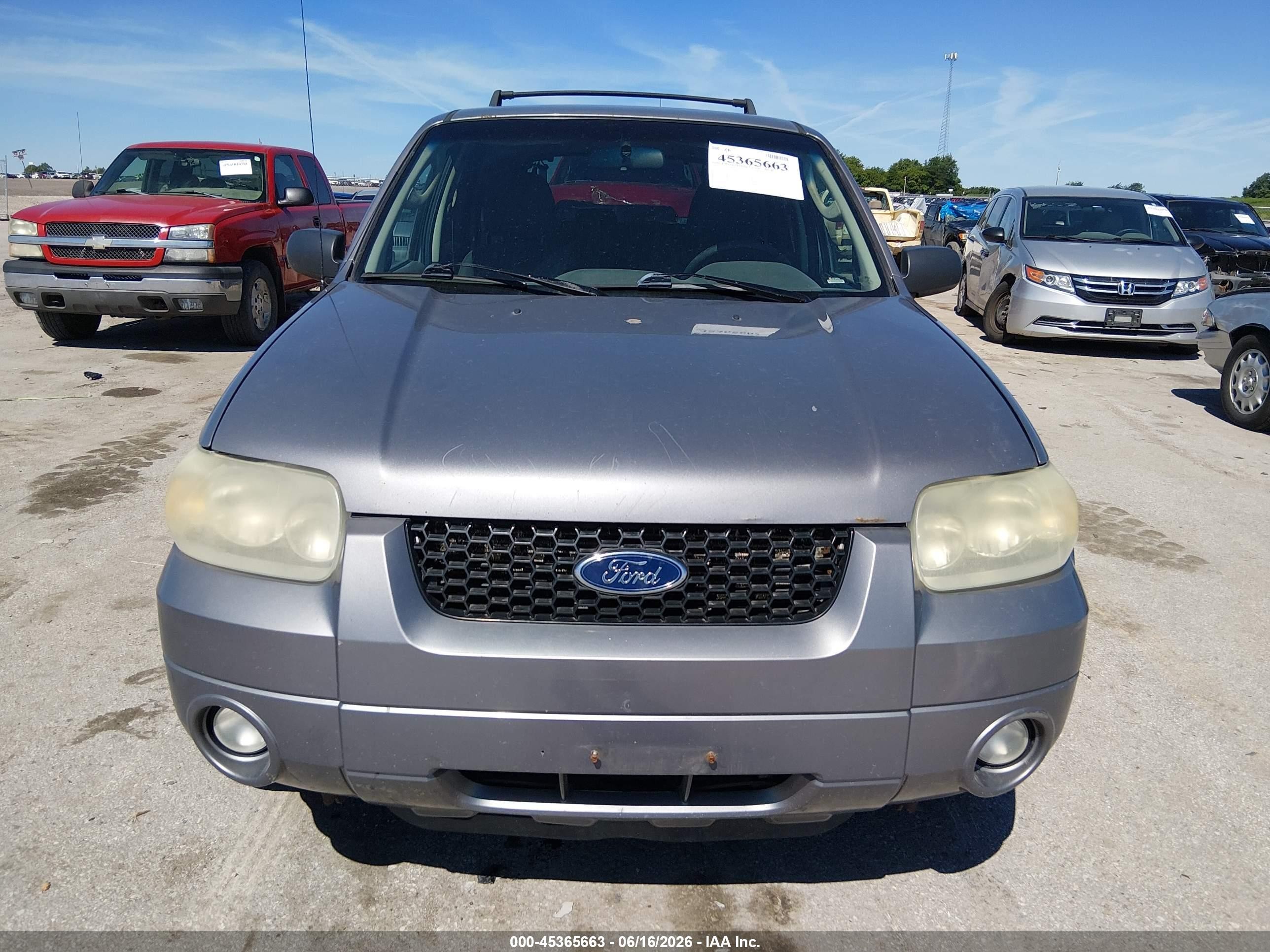 2007 Ford Escape   Серый vin: 1FMYU93157KB97869
