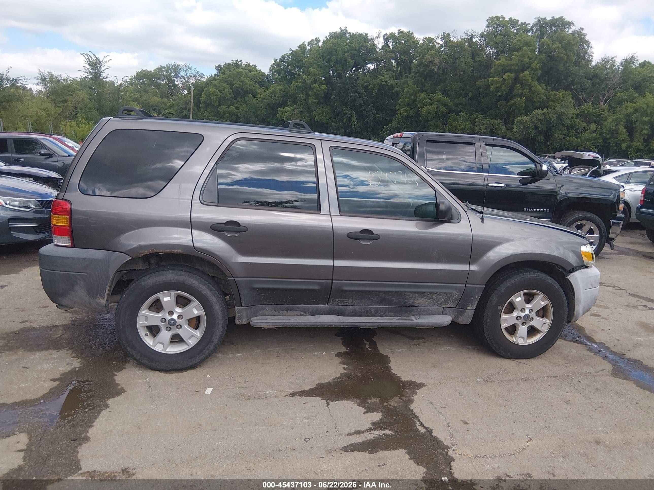 2005 Ford Escape Xlt Gray vin: 1FMYU93195KA41430