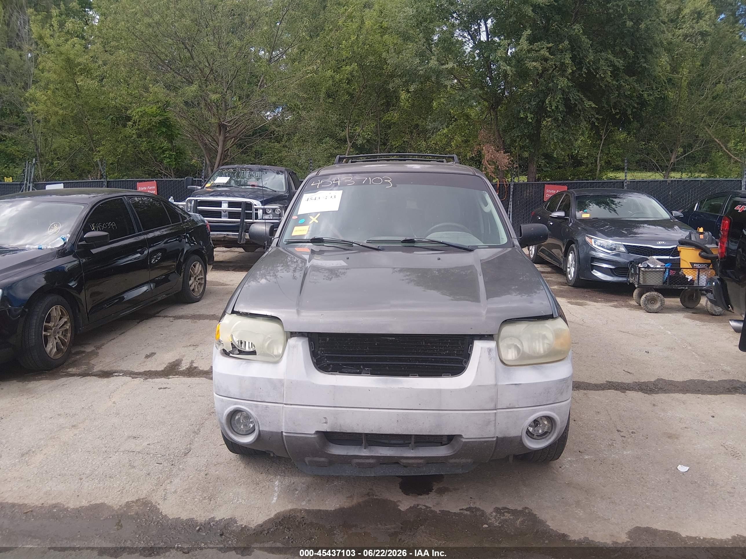 2005 Ford Escape Xlt Gray vin: 1FMYU93195KA41430