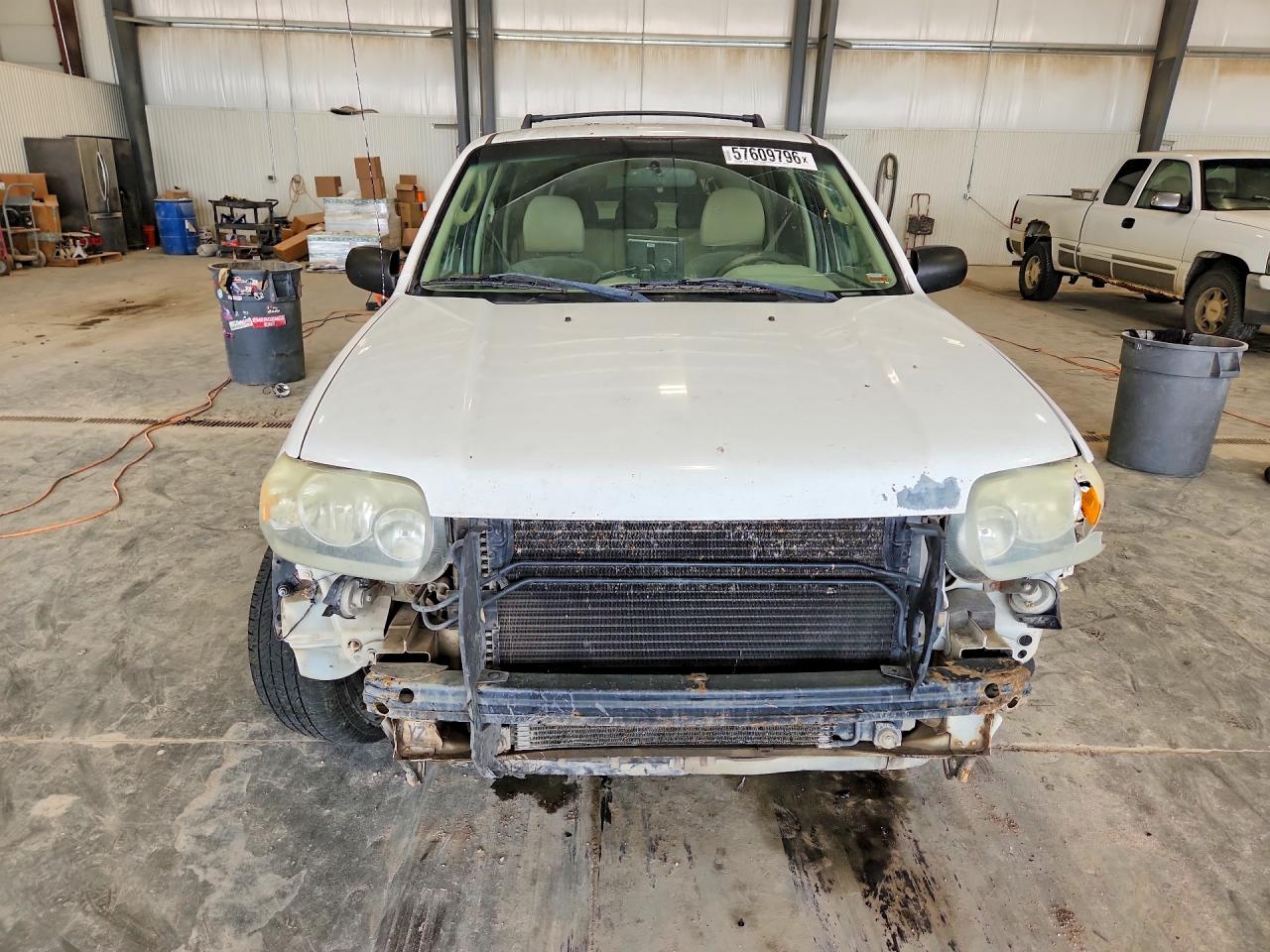 2005 Ford Escape Xlt White vin: 1FMYU93195KA70507