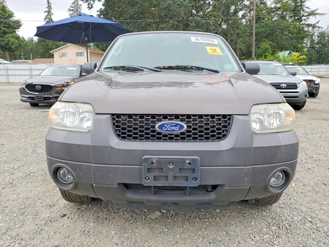 2006 Ford Escape Xlt Gray vin: 1FMYU93196KC72538