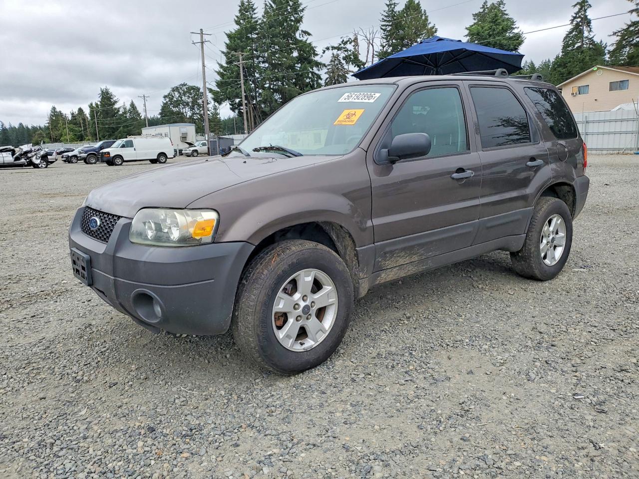 2006 Ford Escape Xlt Gray vin: 1FMYU93196KC72538