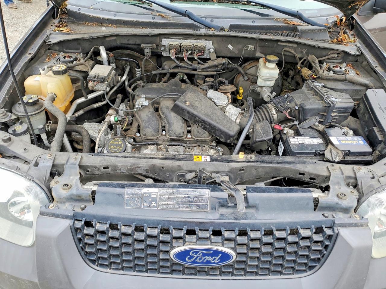 2006 Ford Escape Xlt Gray vin: 1FMYU93196KC72538