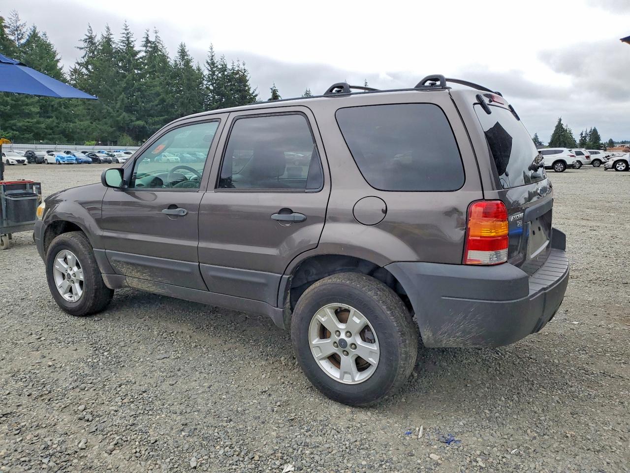 2006 Ford Escape Xlt Gray vin: 1FMYU93196KC72538