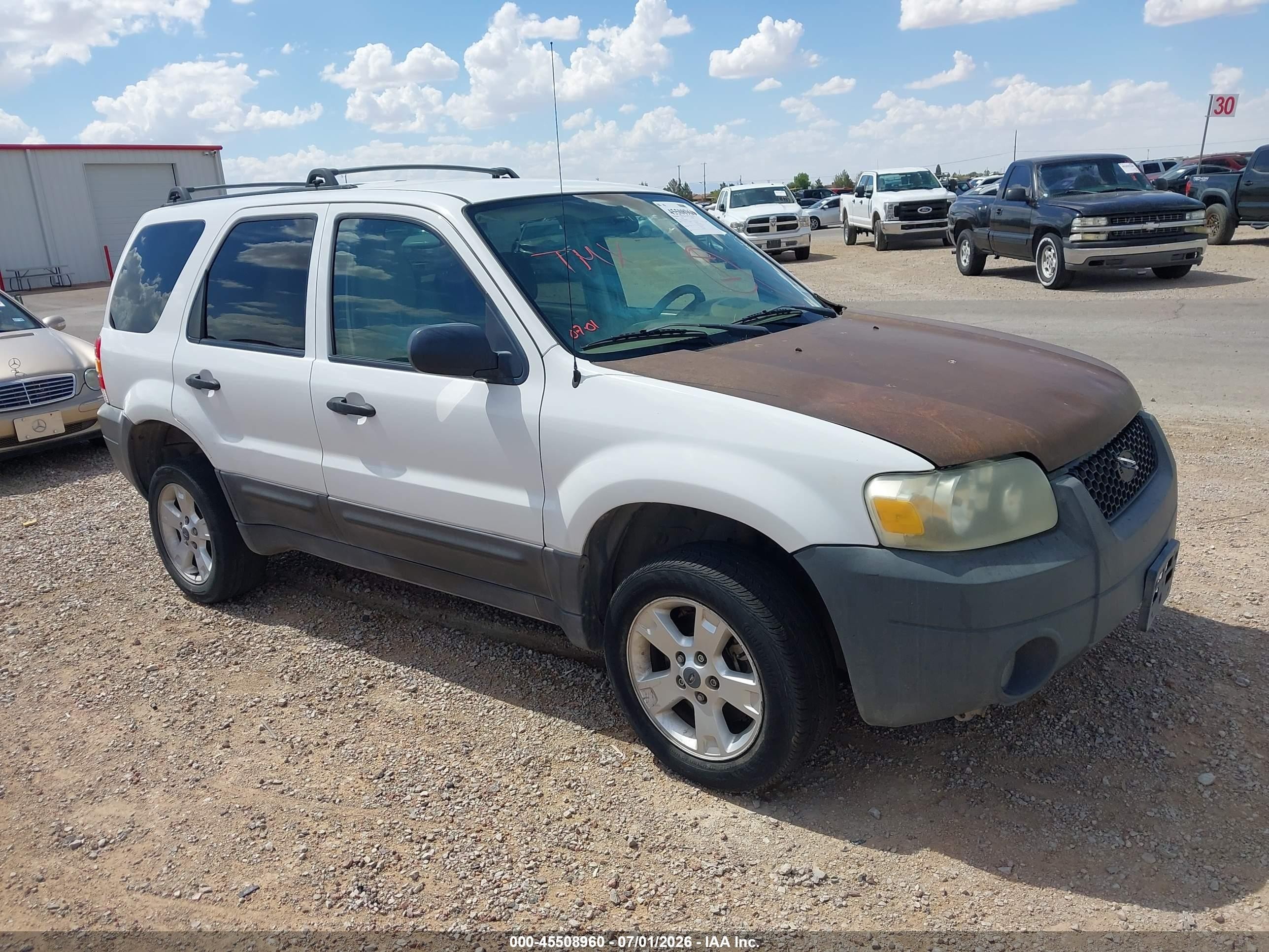 2006 Ford Escape Xlt/xlt Sport White vin: 1FMYU931X6KB56099
