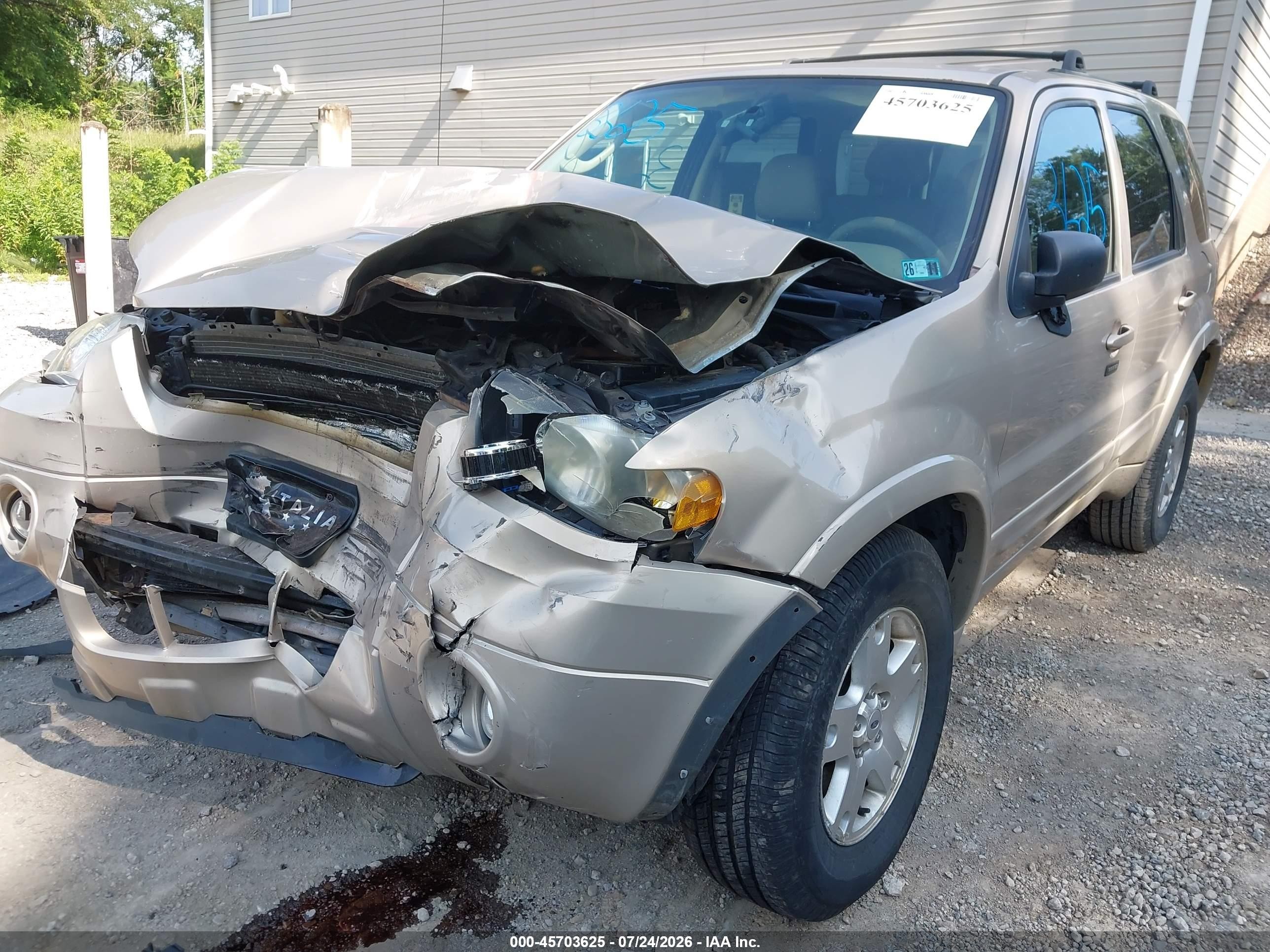 2007 Ford Escape Limited Beige vin: 1FMYU94117KA15244