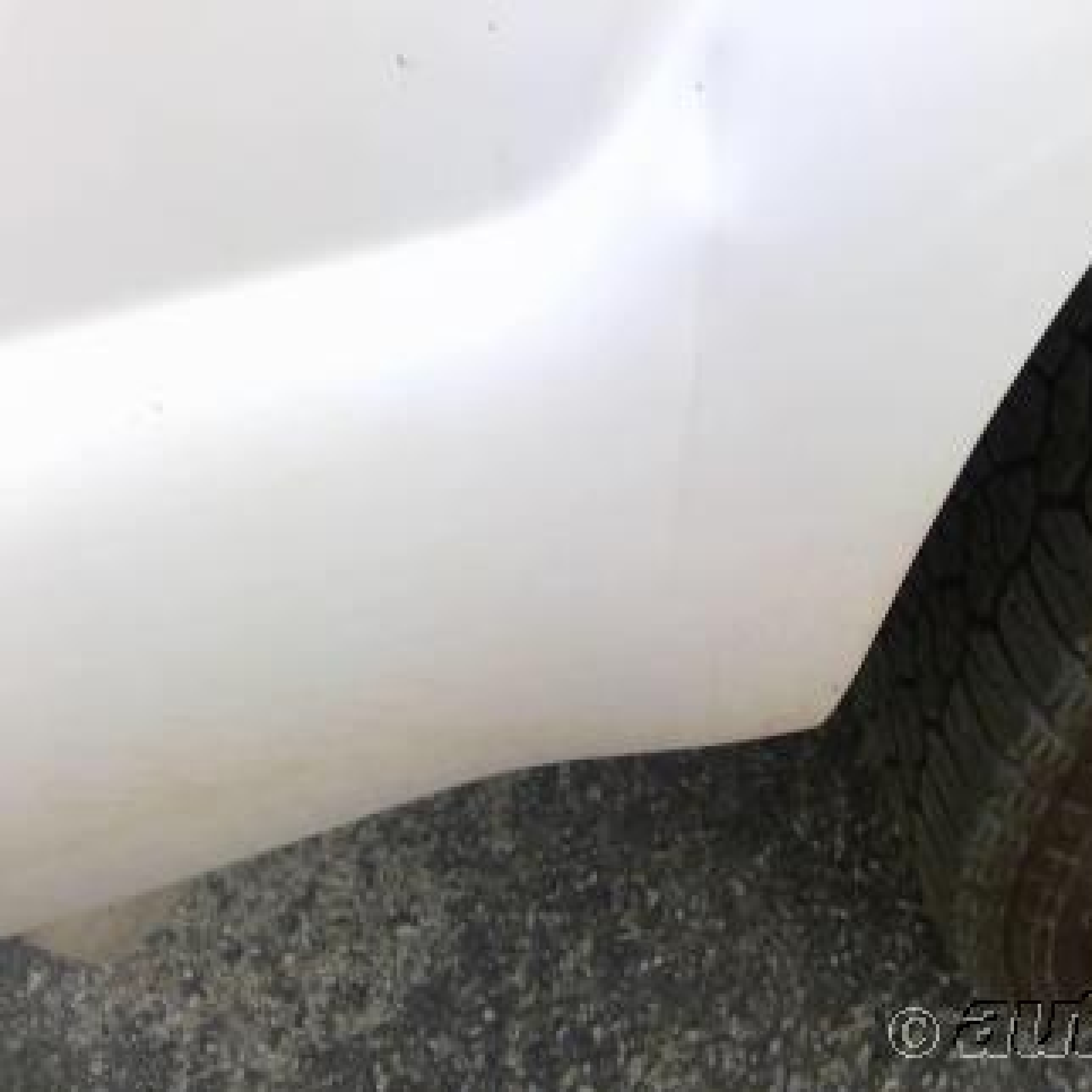 2015 Ford F-250 Xl vin: 1FT7W2B69FEB90564