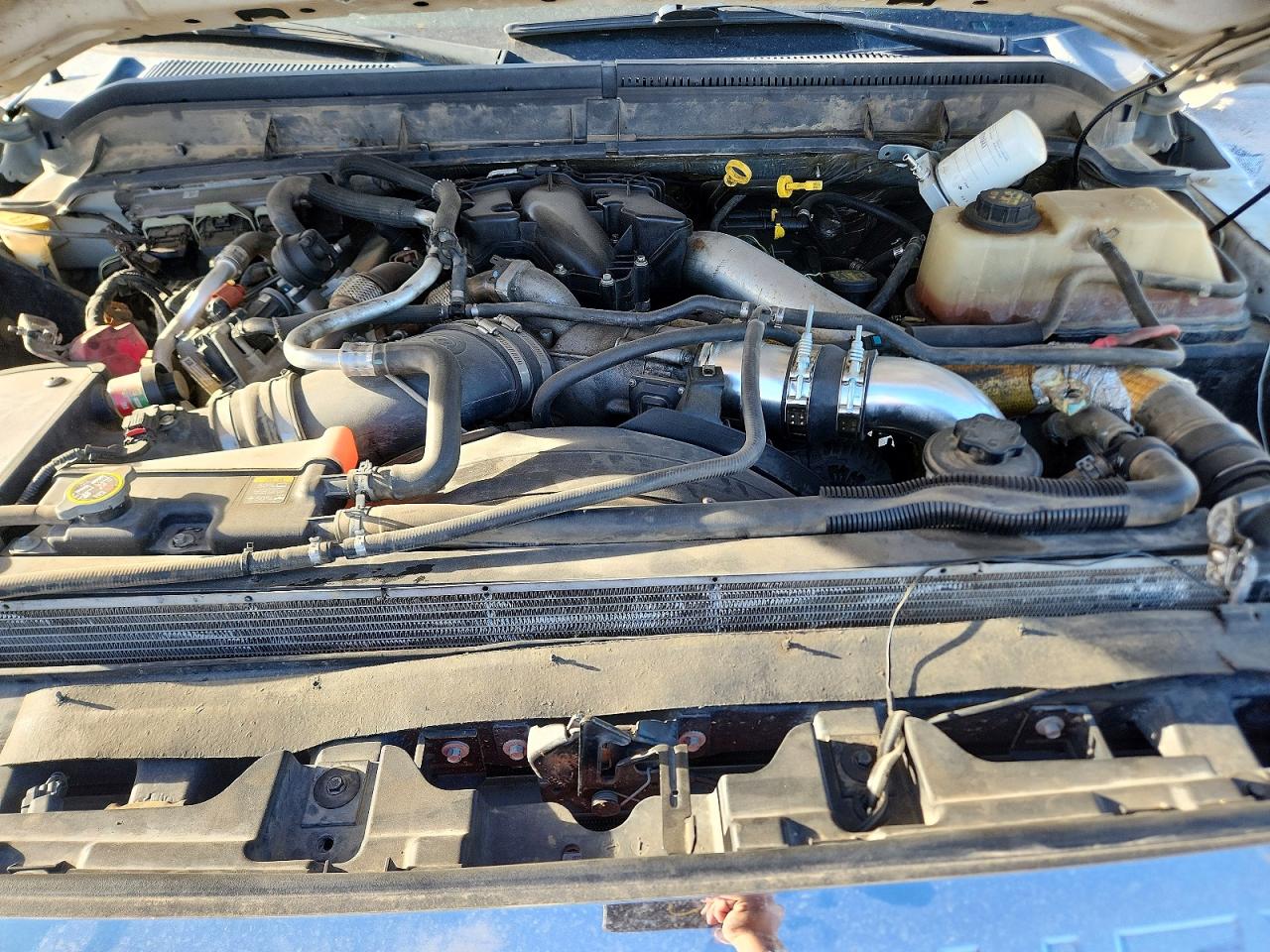 2012 Ford F350 Super Duty White vin: 1FT8W3BT7CEA48421