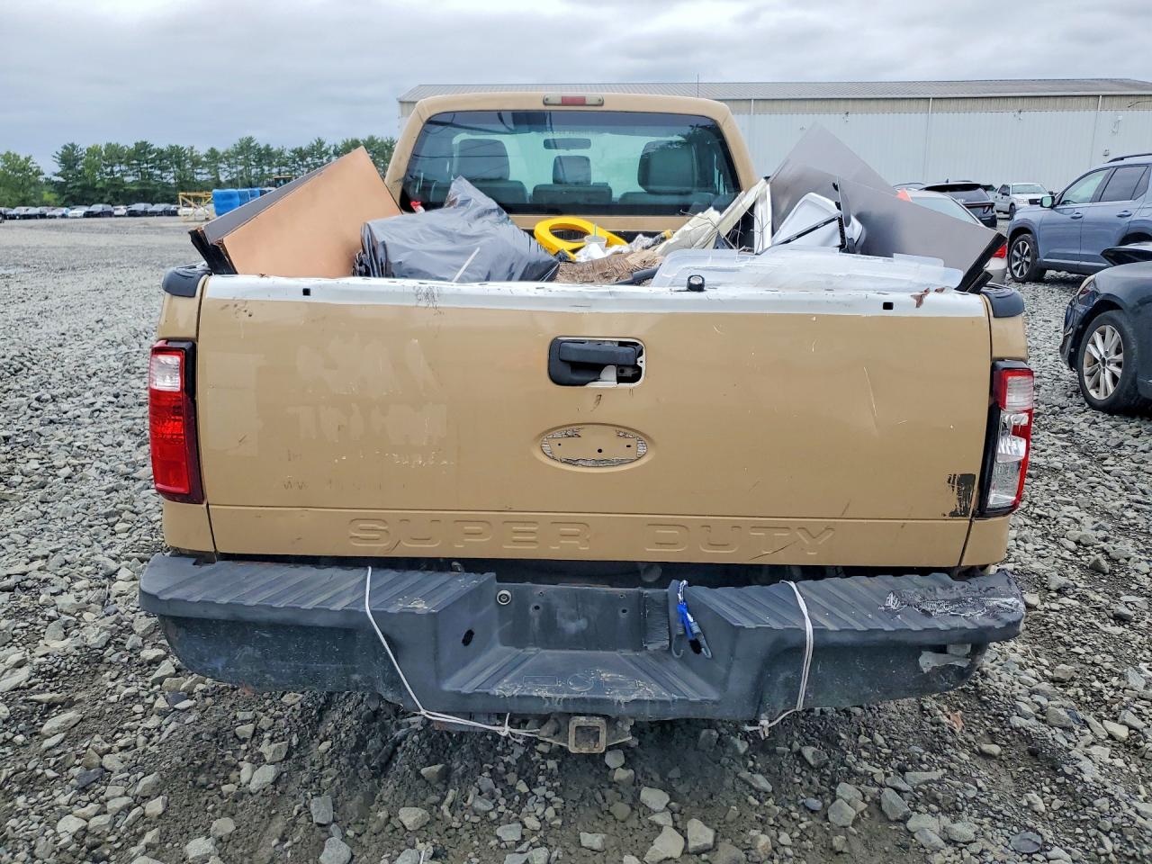 2011 Ford F250 Super Duty Beige vin: 1FTBF2A66BEB95601