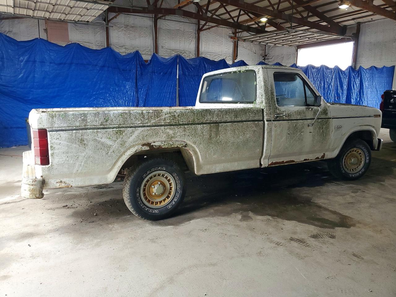1985 Ford F150 White vin: 1FTCF15HXFLA31523