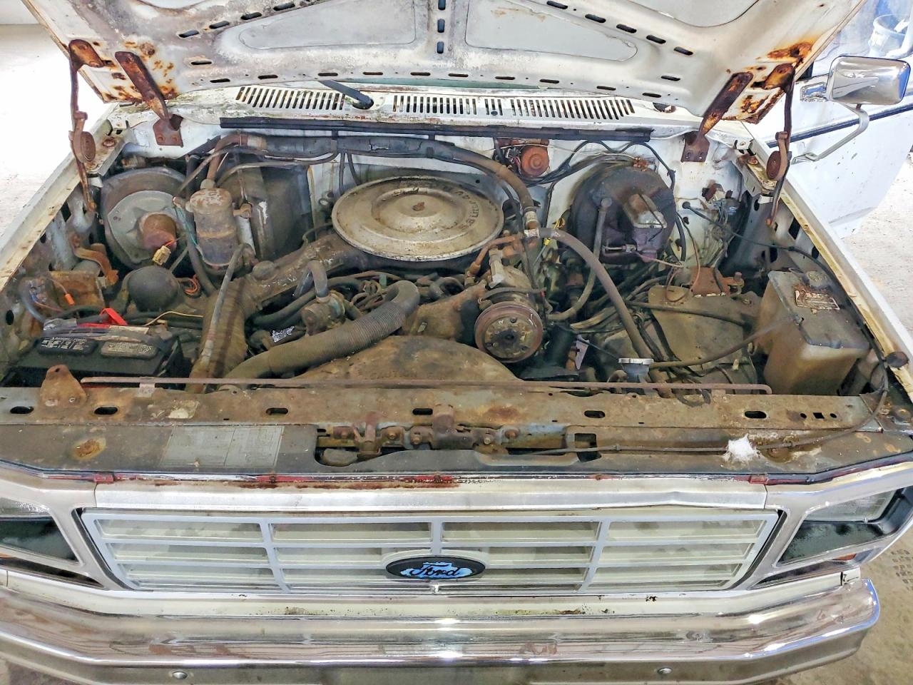 1985 Ford F150 White vin: 1FTCF15HXFLA31523