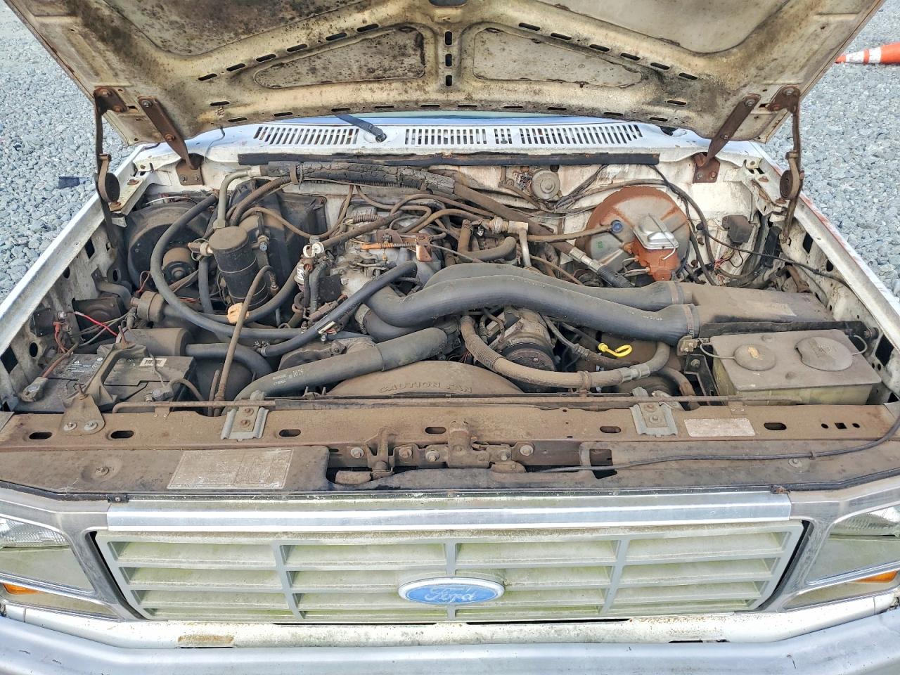 1984 Ford F150 White vin: 1FTCF15Y4ENA83569